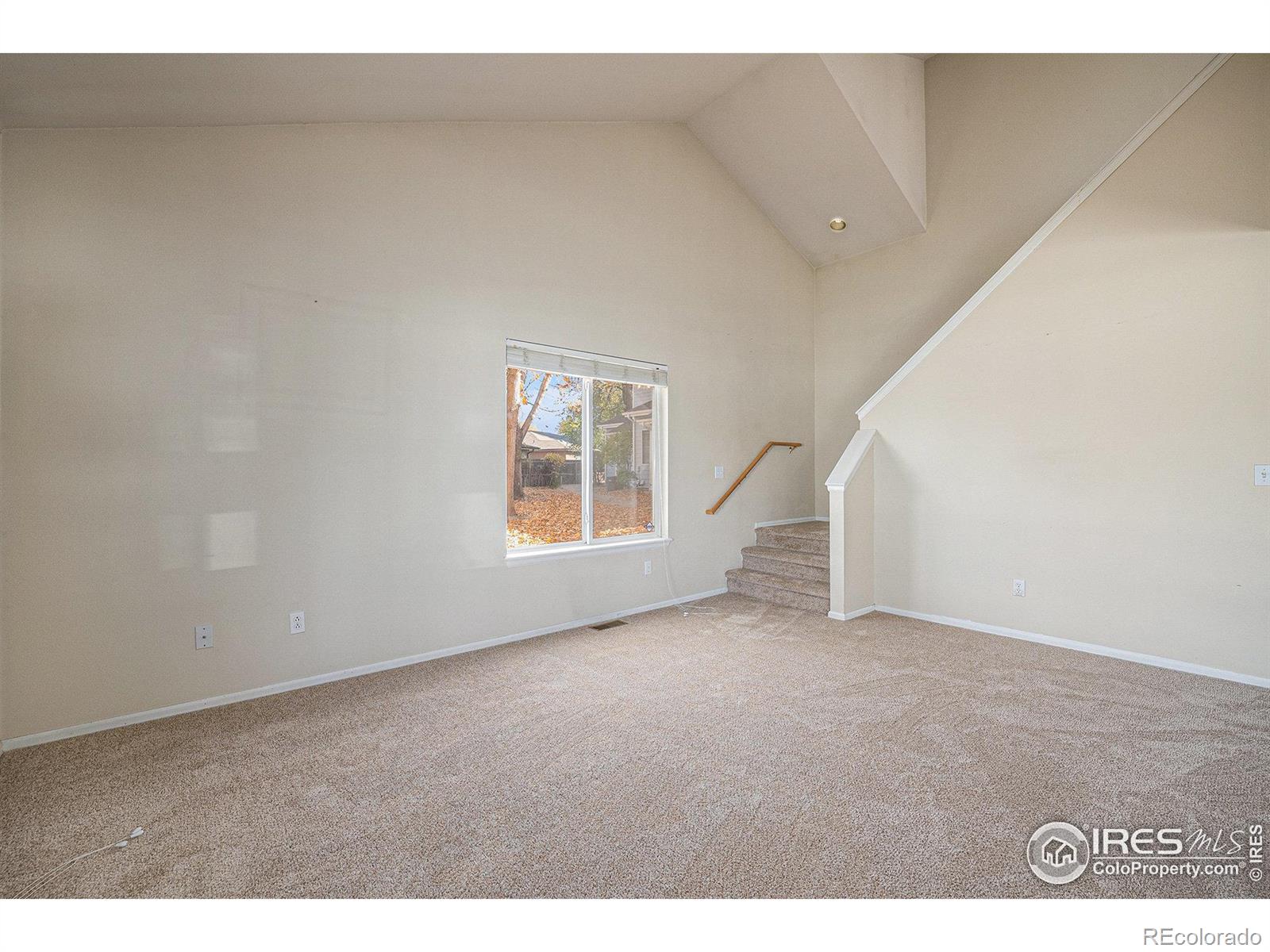 MLS Image #11 for 500  lashley street,longmont, Colorado