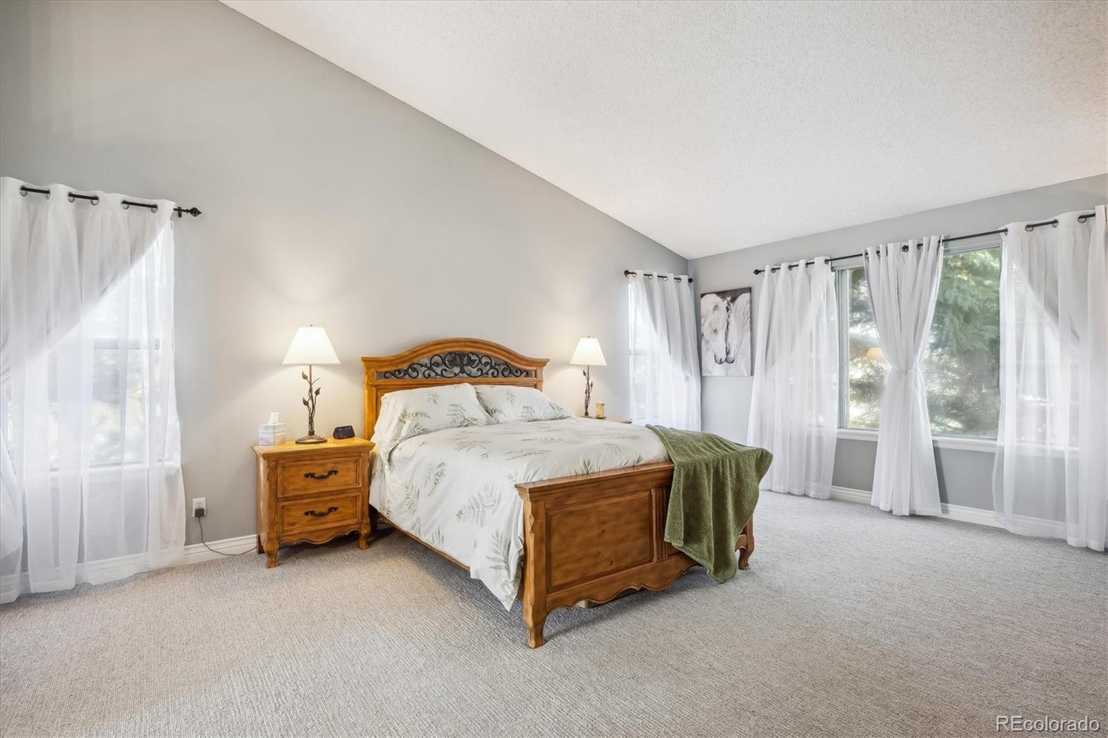 MLS Image #13 for 7208  tamarac court,parker, Colorado