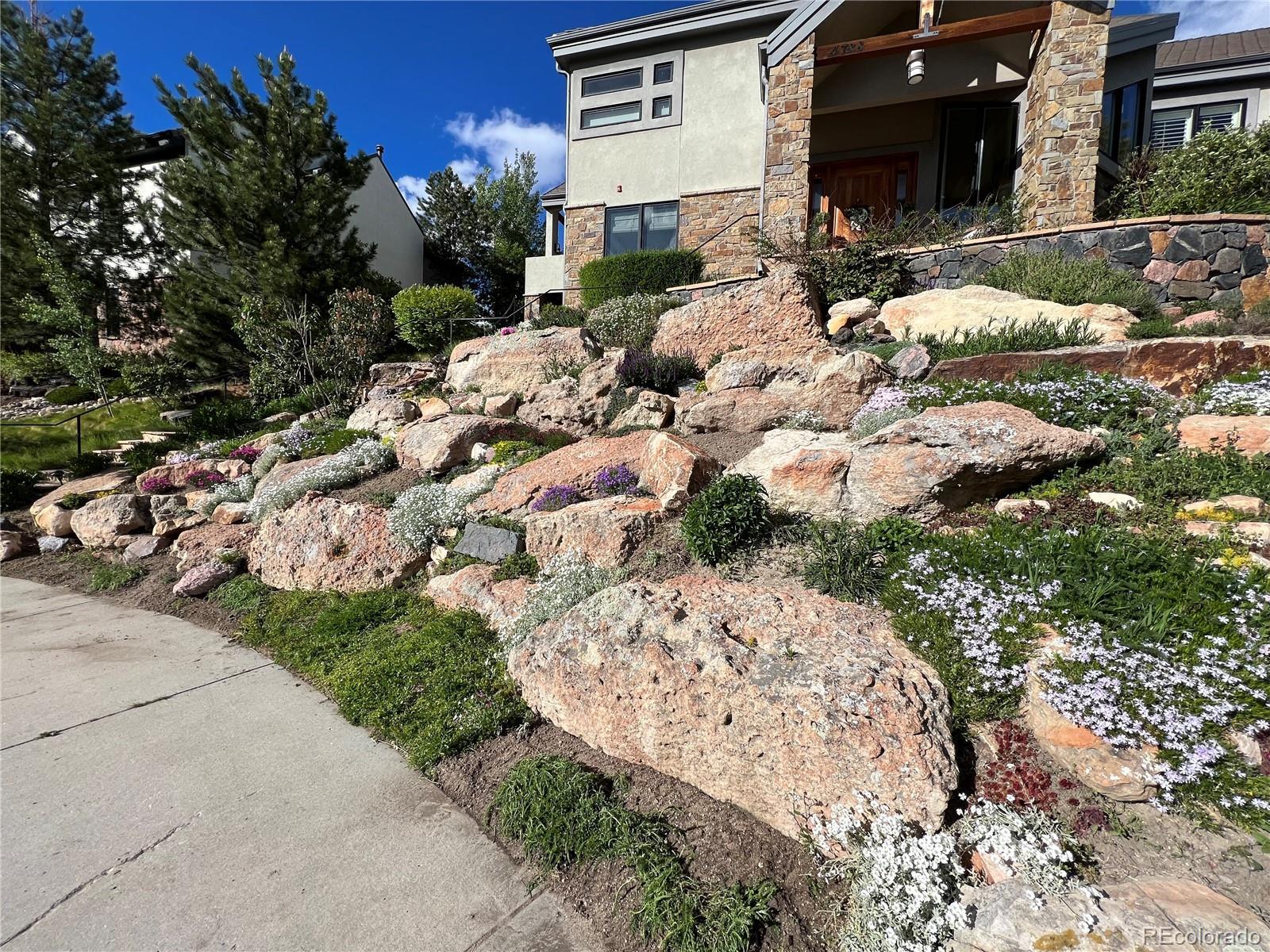 MLS Image #3 for 4788  silver pine drive,castle rock, Colorado