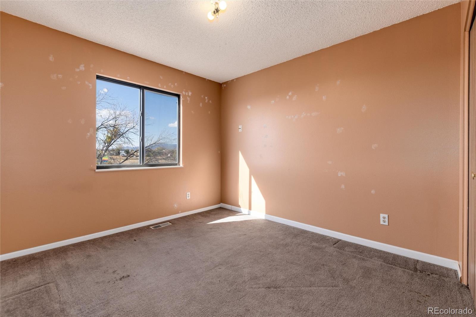 MLS Image #18 for 7575  woody creek drive,colorado springs, Colorado