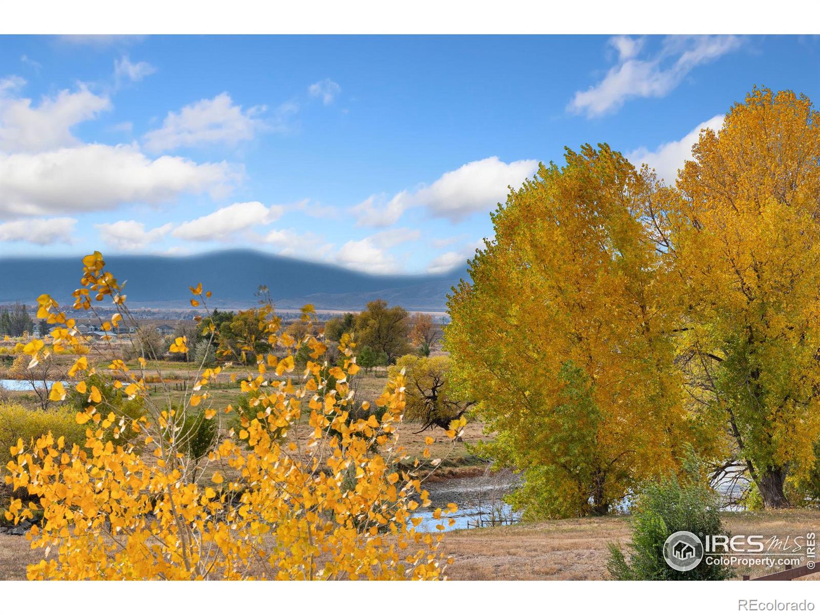 MLS Image #3 for 6051  summerfields parkway,timnath, Colorado