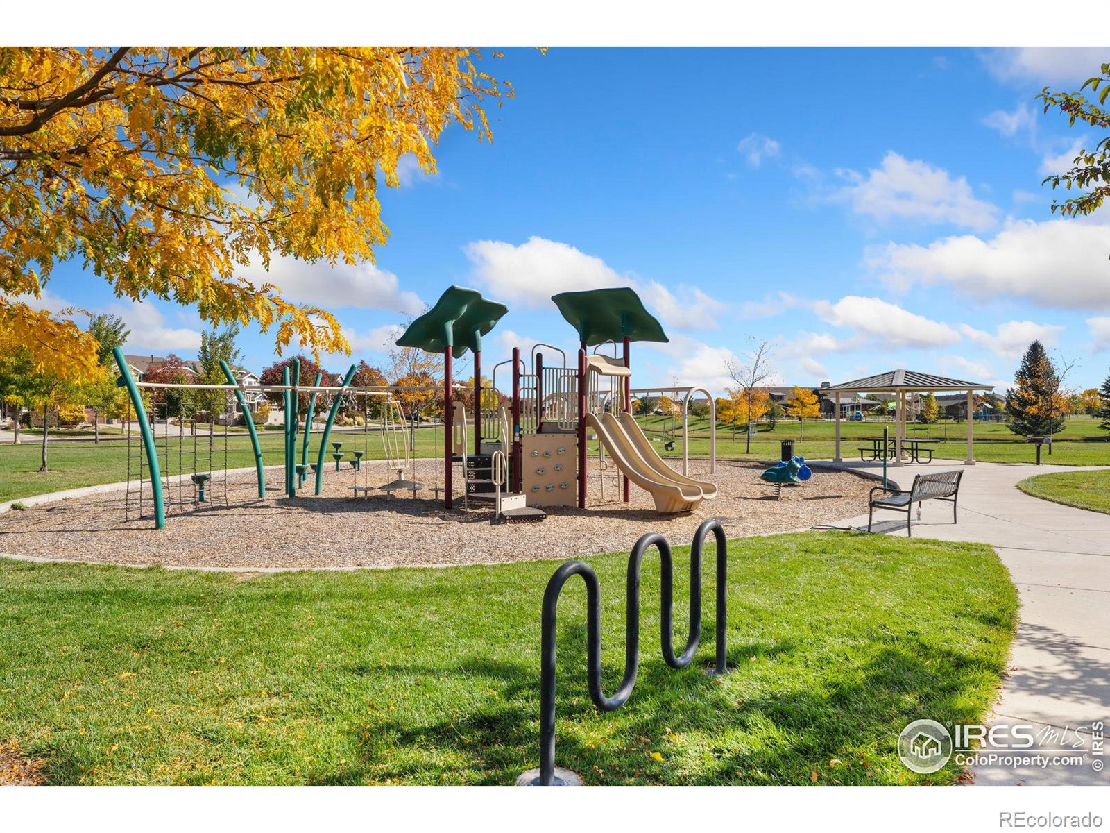 MLS Image #39 for 6051  summerfields parkway,timnath, Colorado