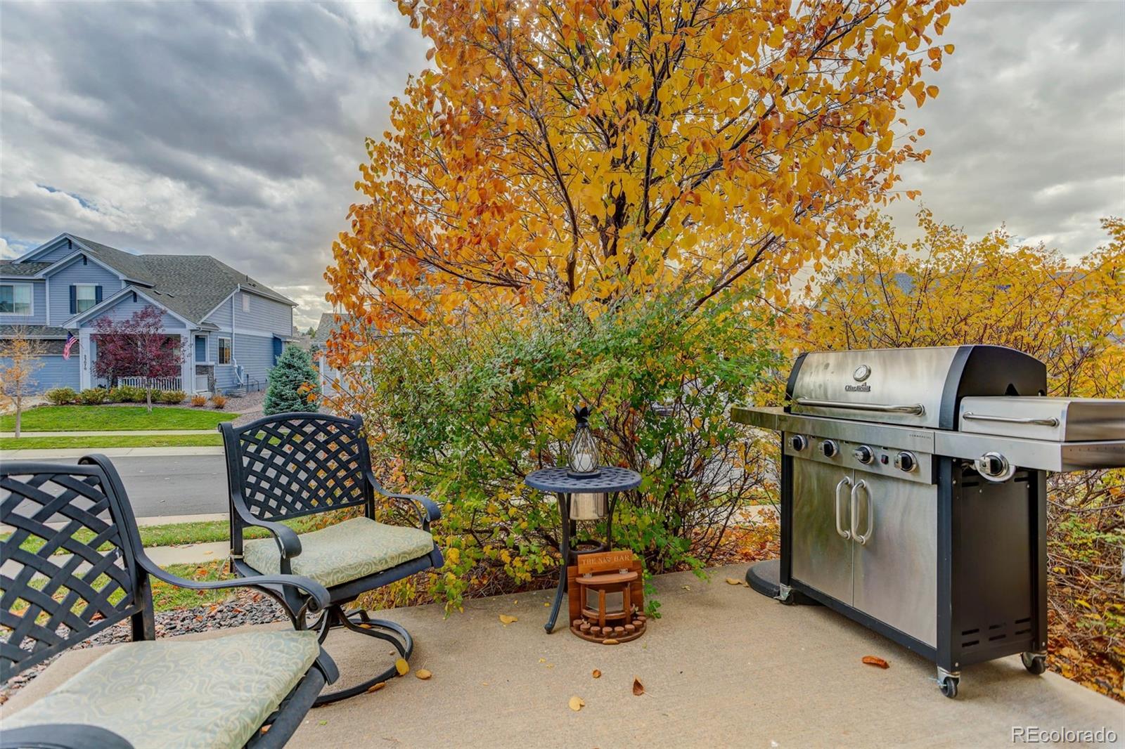 MLS Image #27 for 23070  york avenue,parker, Colorado