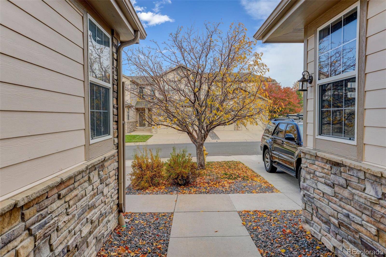 MLS Image #4 for 23070  york avenue,parker, Colorado