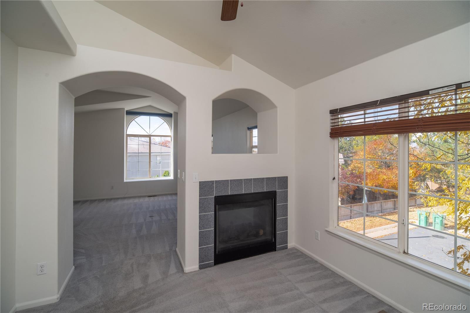 MLS Image #16 for 1391  carlyle park circle,highlands ranch, Colorado