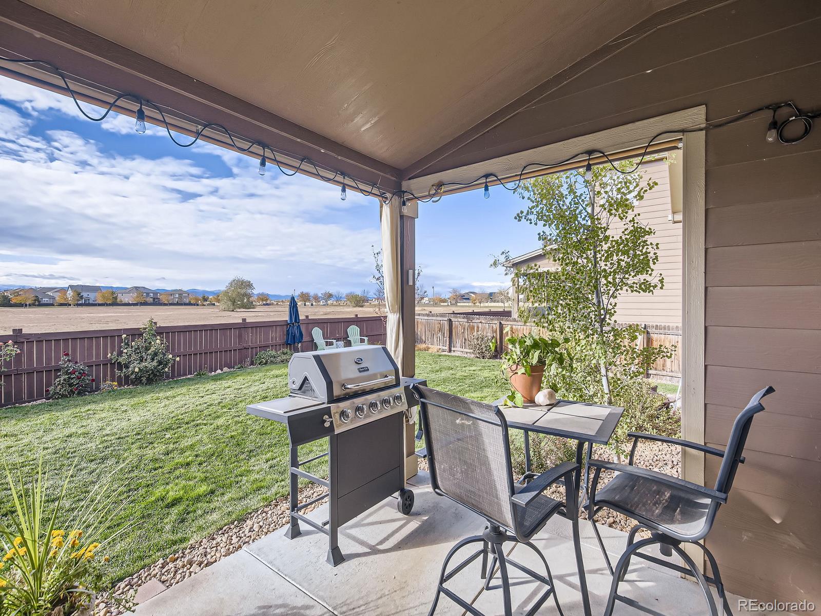 MLS Image #23 for 5681  edgevale street,timnath, Colorado