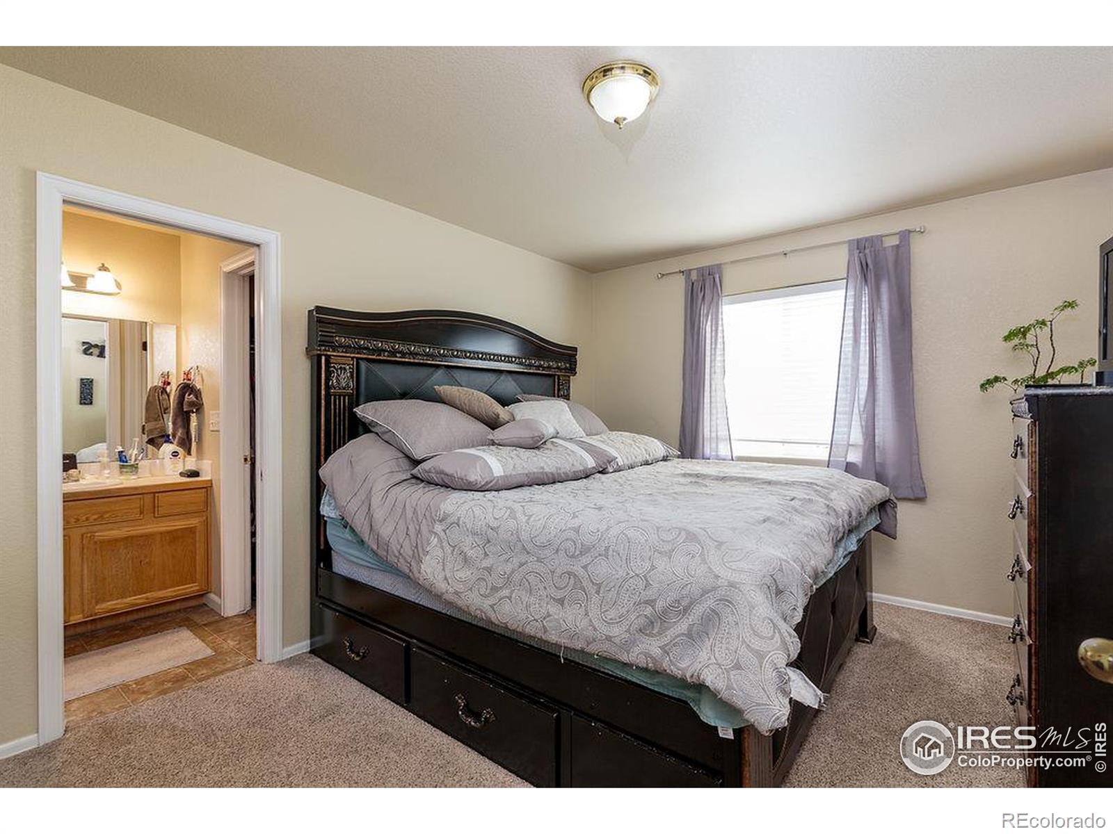 MLS Image #9 for 3333  grenache street,evans, Colorado