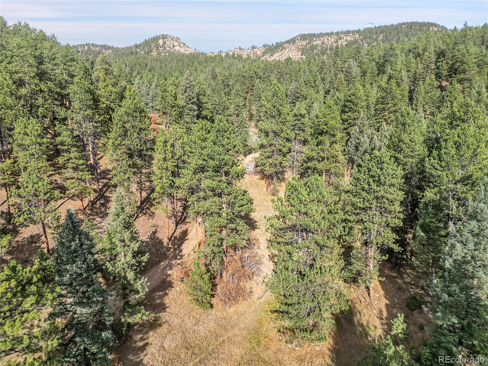 MLS Image #21 for 5200  parmalee gulch road,indian hills, Colorado