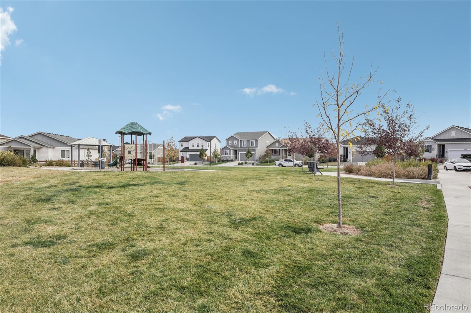 MLS Image #42 for 6428  vista cliff loop,castle rock, Colorado