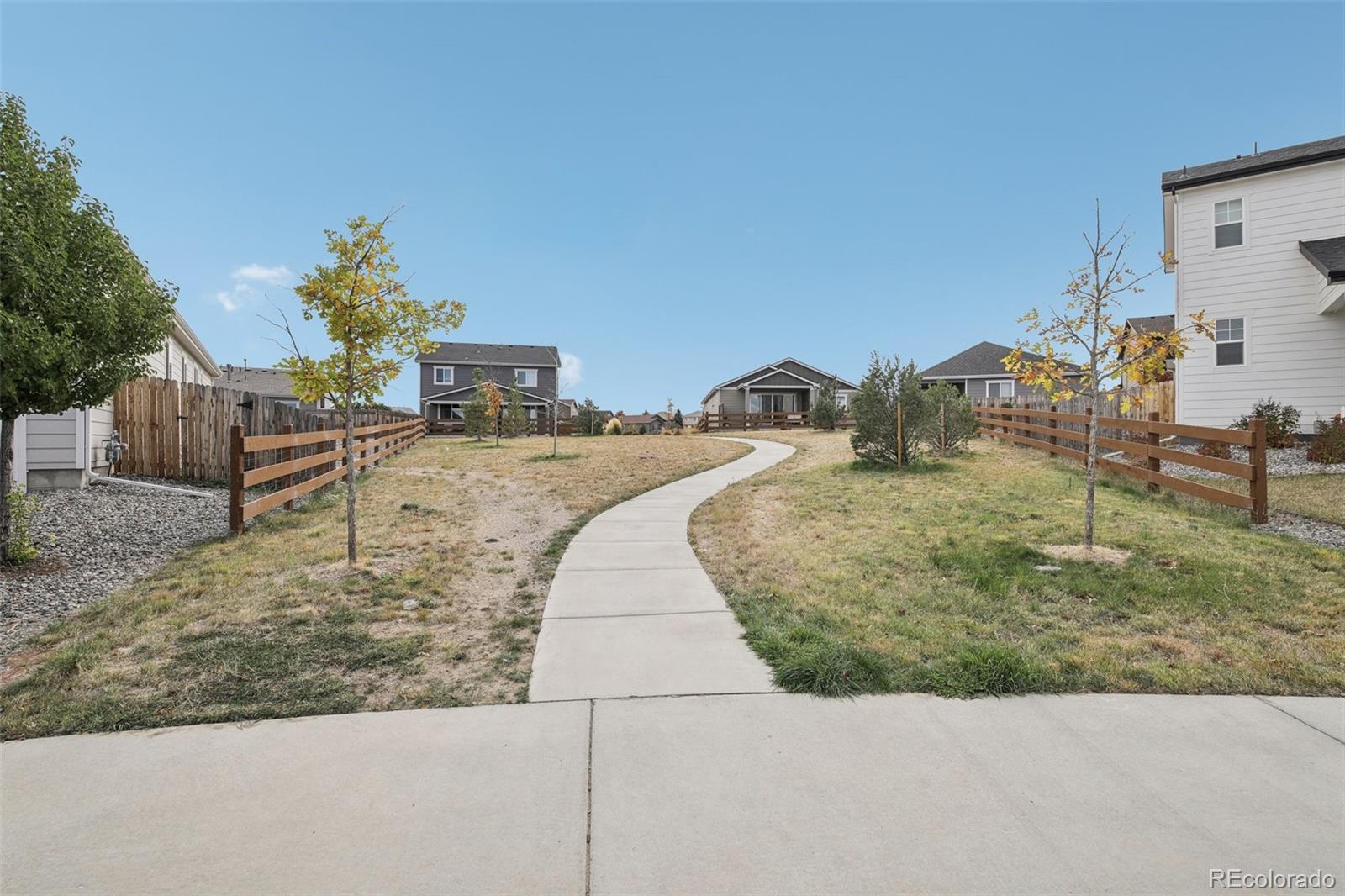 MLS Image #49 for 6428  vista cliff loop,castle rock, Colorado