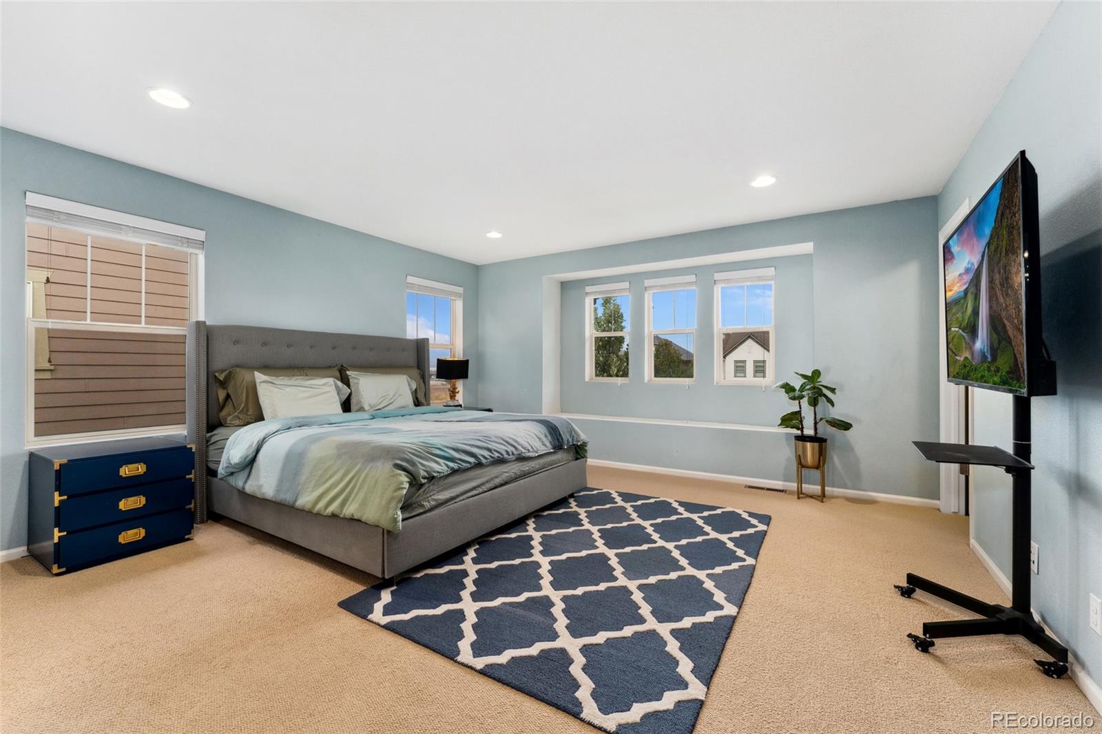 MLS Image #16 for 7932 e 49th place,denver, Colorado