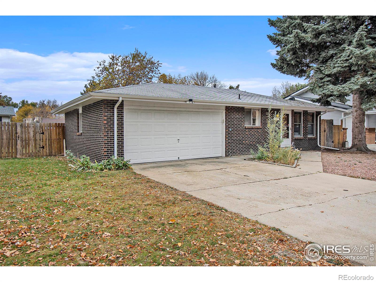 MLS Image #17 for 19  anchorage court,longmont, Colorado