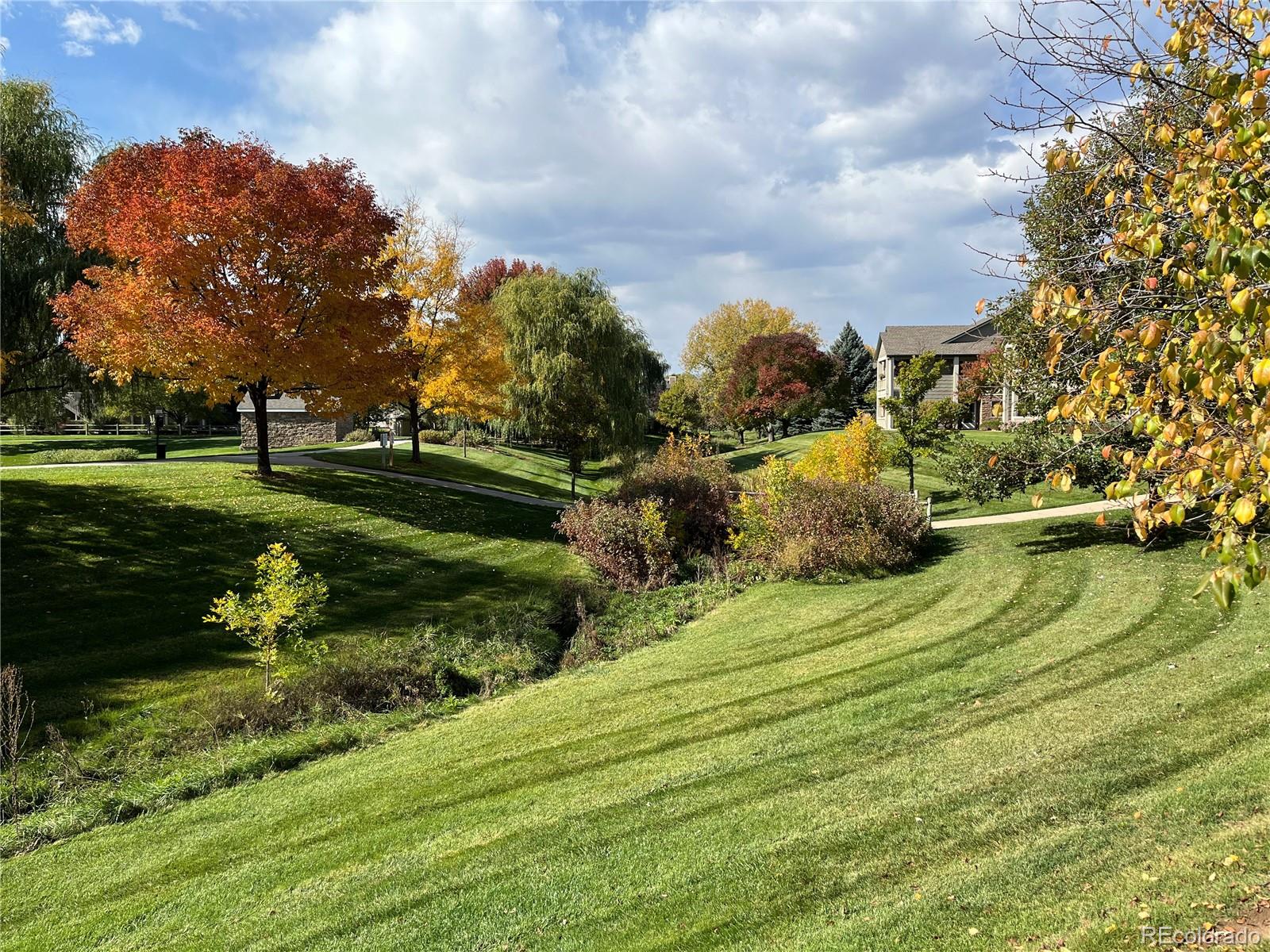 MLS Image #15 for 5225  white willow drive,fort collins, Colorado