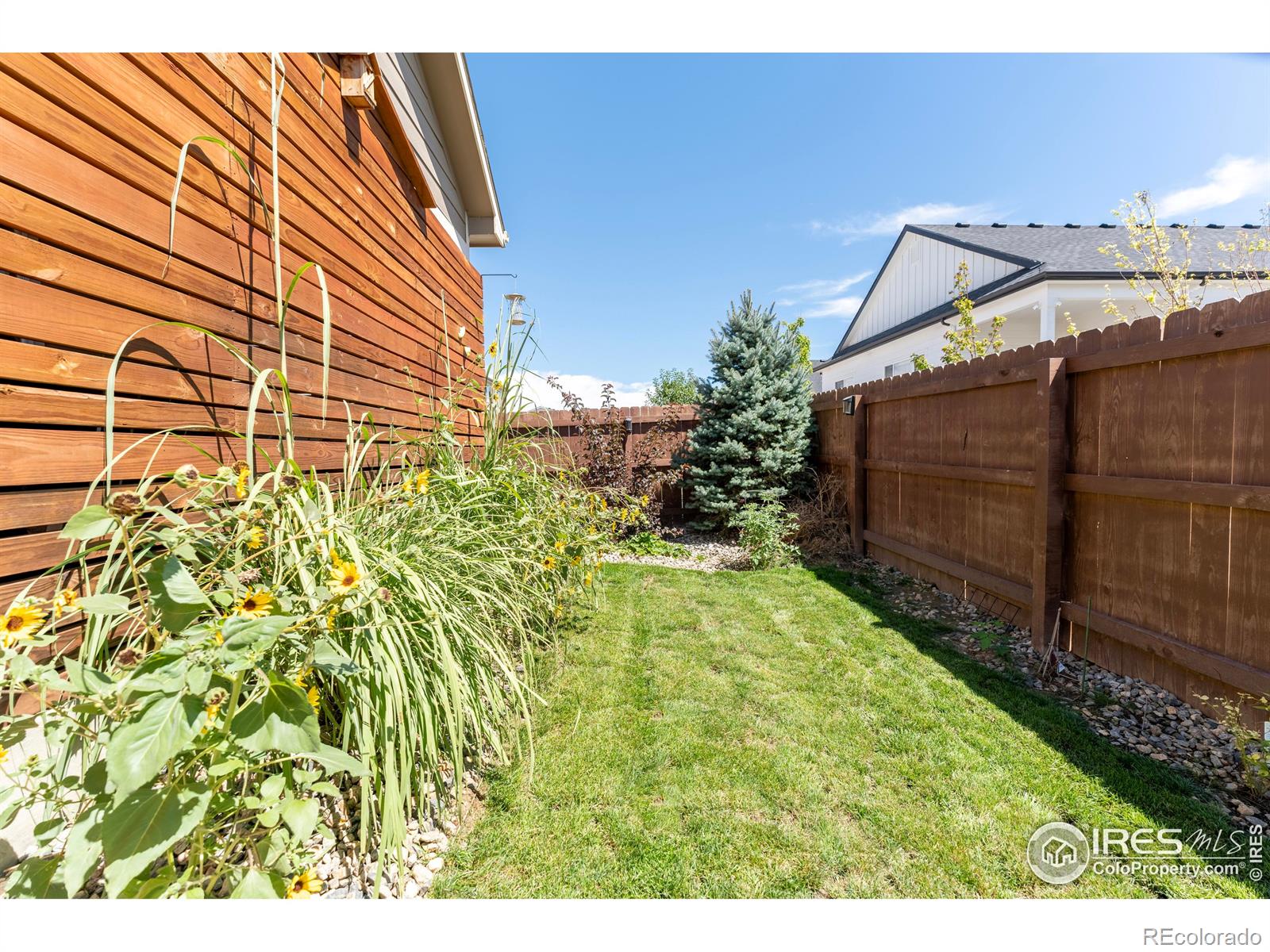 MLS Image #31 for 5521  shady oaks drive,windsor, Colorado