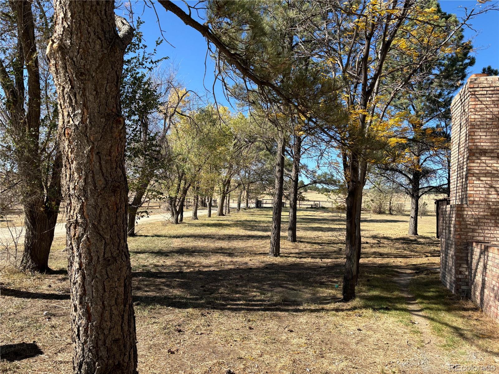 MLS Image #6 for 25586  county road 61 ,elbert, Colorado