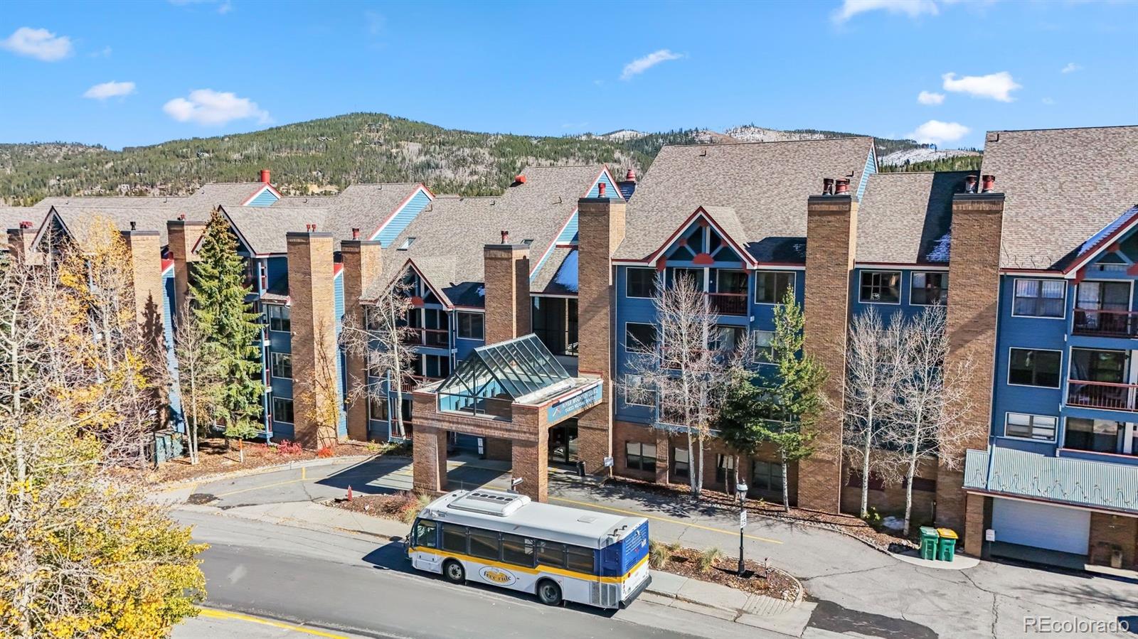 MLS Image #1 for 100 s park avenue,breckenridge, Colorado