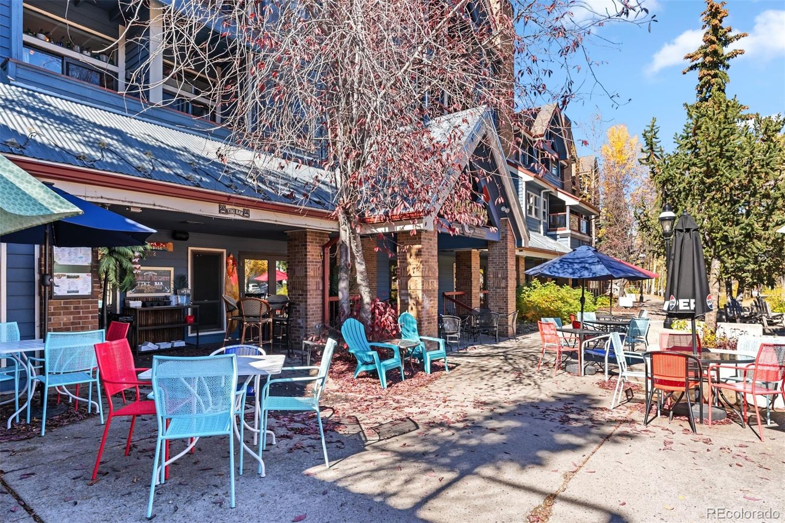 MLS Image #43 for 100 s park avenue,breckenridge, Colorado