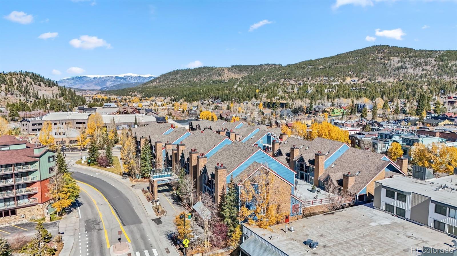 MLS Image #44 for 100 s park avenue,breckenridge, Colorado