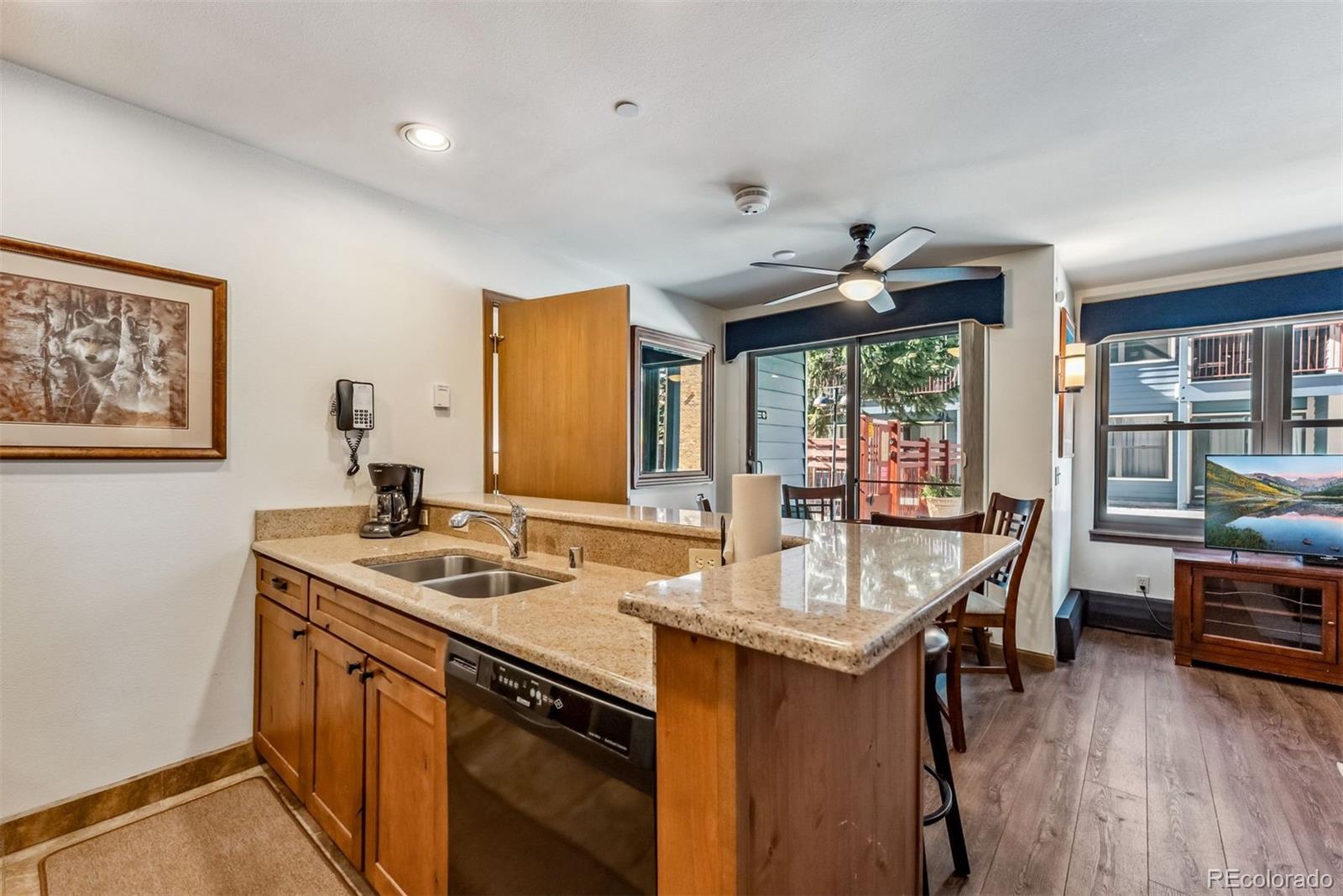 MLS Image #6 for 100 s park avenue,breckenridge, Colorado