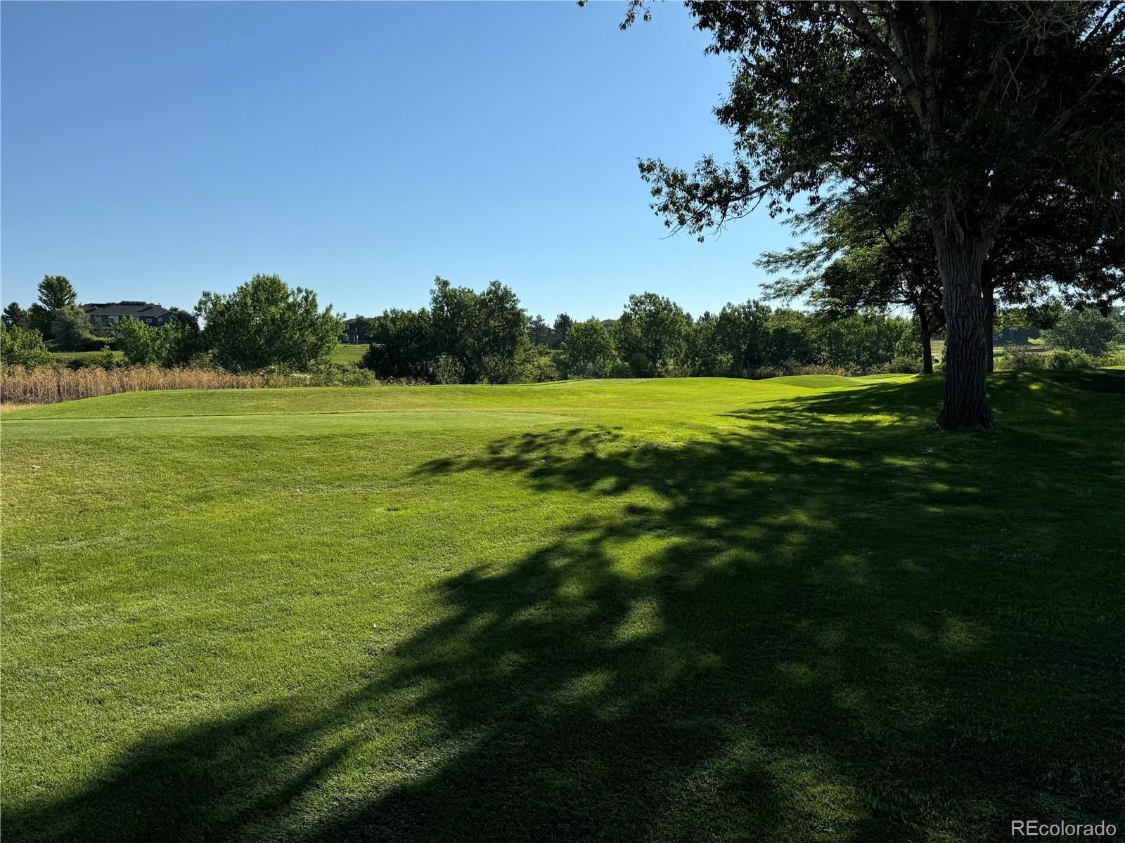 MLS Image #36 for 47  canongate lane,highlands ranch, Colorado