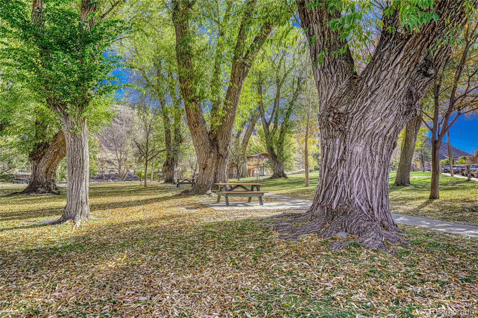 MLS Image #25 for 204 n f street,salida, Colorado