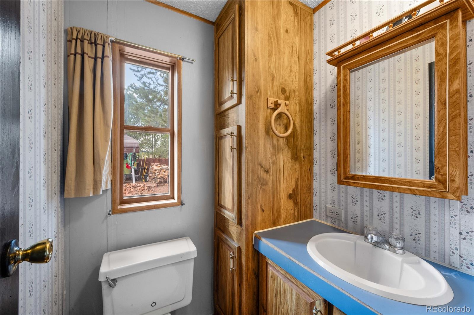 MLS Image #12 for 627  harmon drive,cotopaxi, Colorado