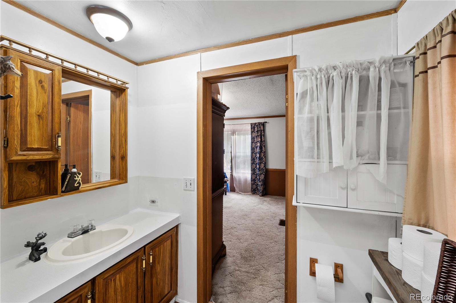 MLS Image #17 for 627  harmon drive,cotopaxi, Colorado