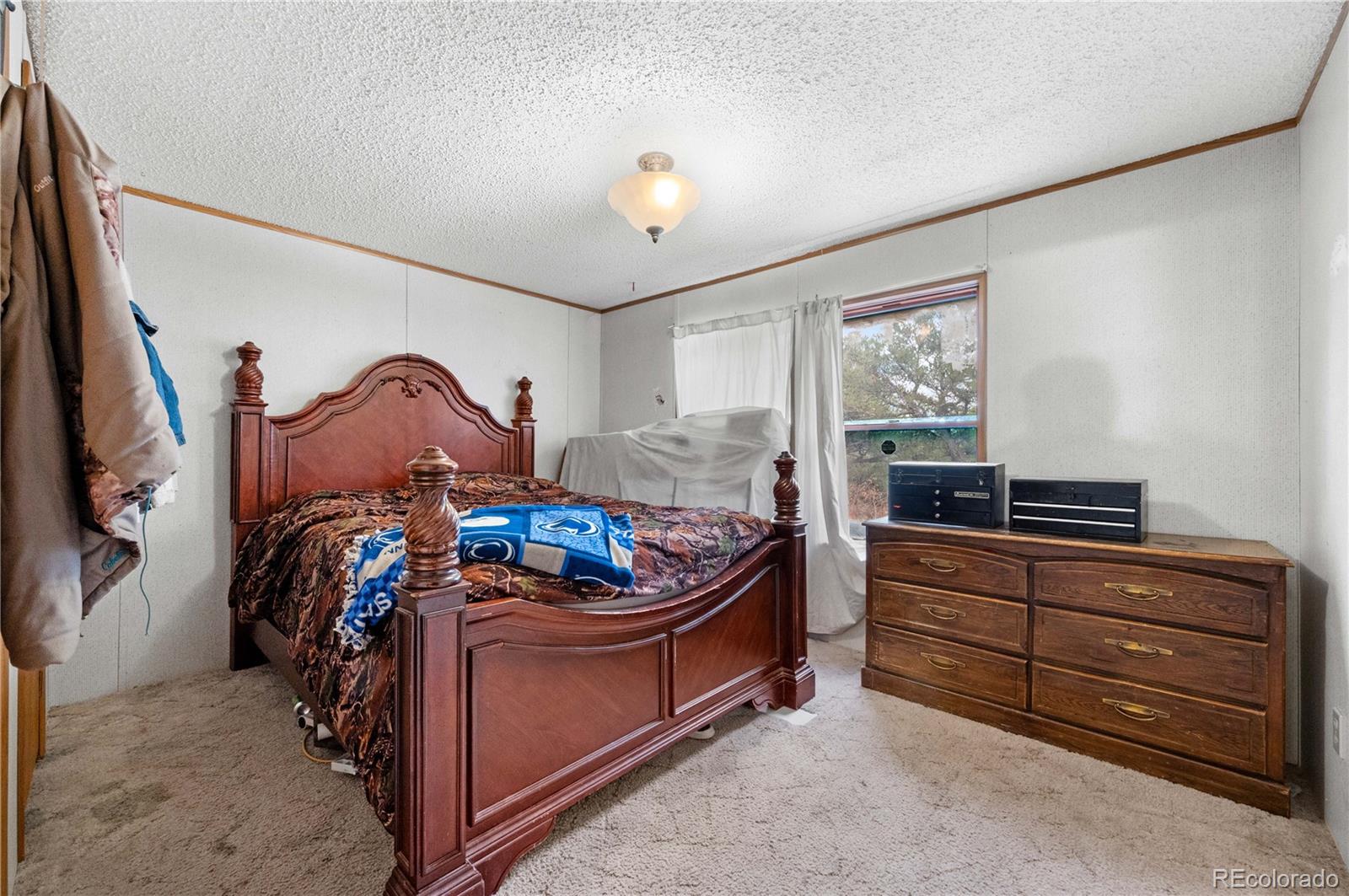 MLS Image #22 for 627  harmon drive,cotopaxi, Colorado