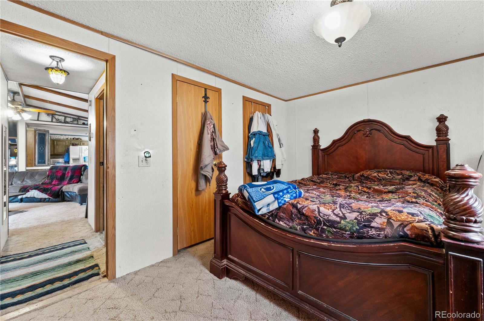 MLS Image #23 for 627  harmon drive,cotopaxi, Colorado