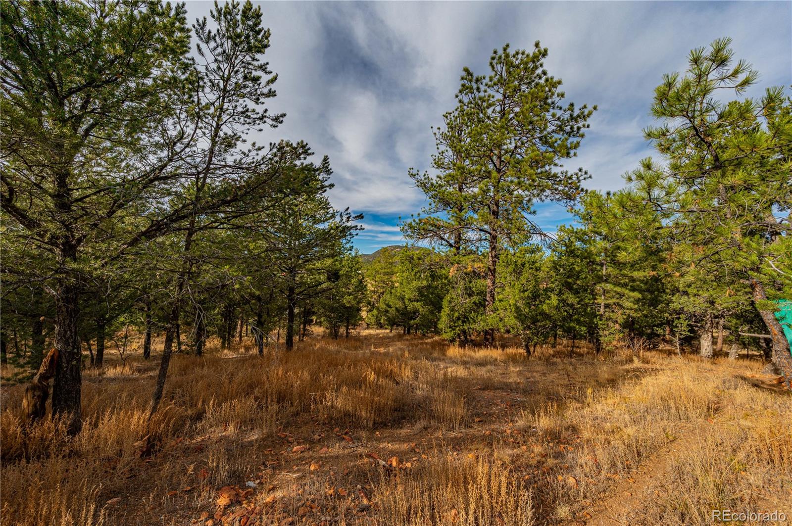 MLS Image #33 for 627  harmon drive,cotopaxi, Colorado