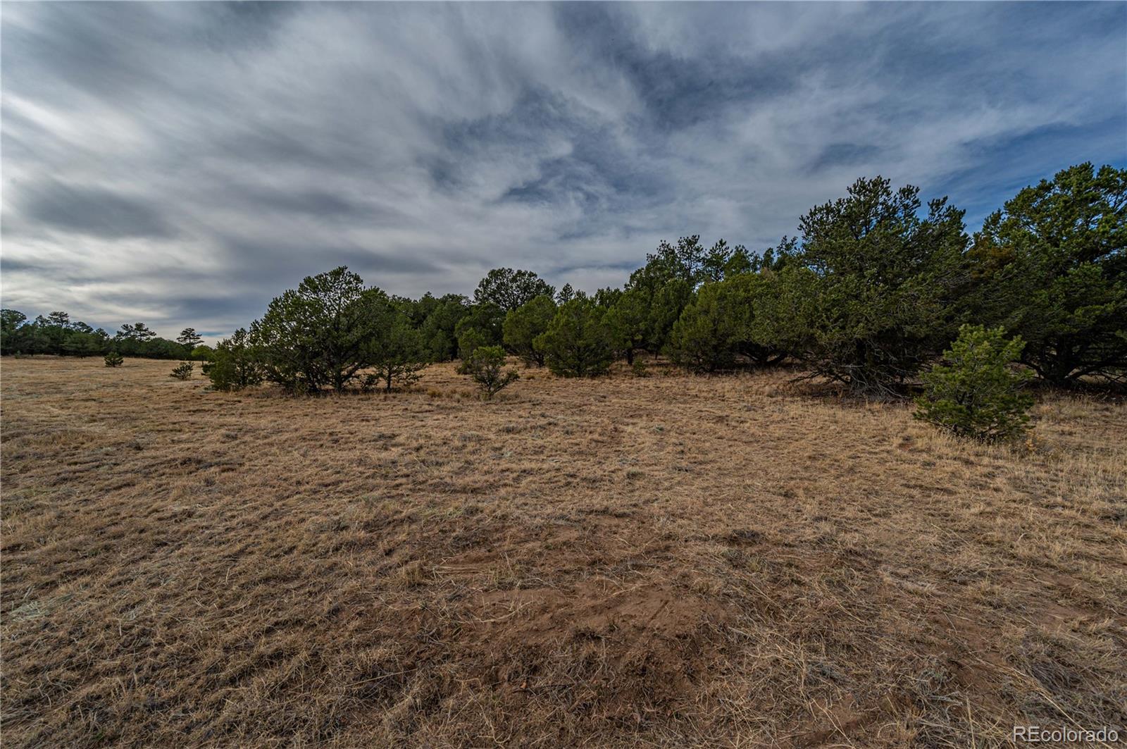 MLS Image #43 for 627  harmon drive,cotopaxi, Colorado