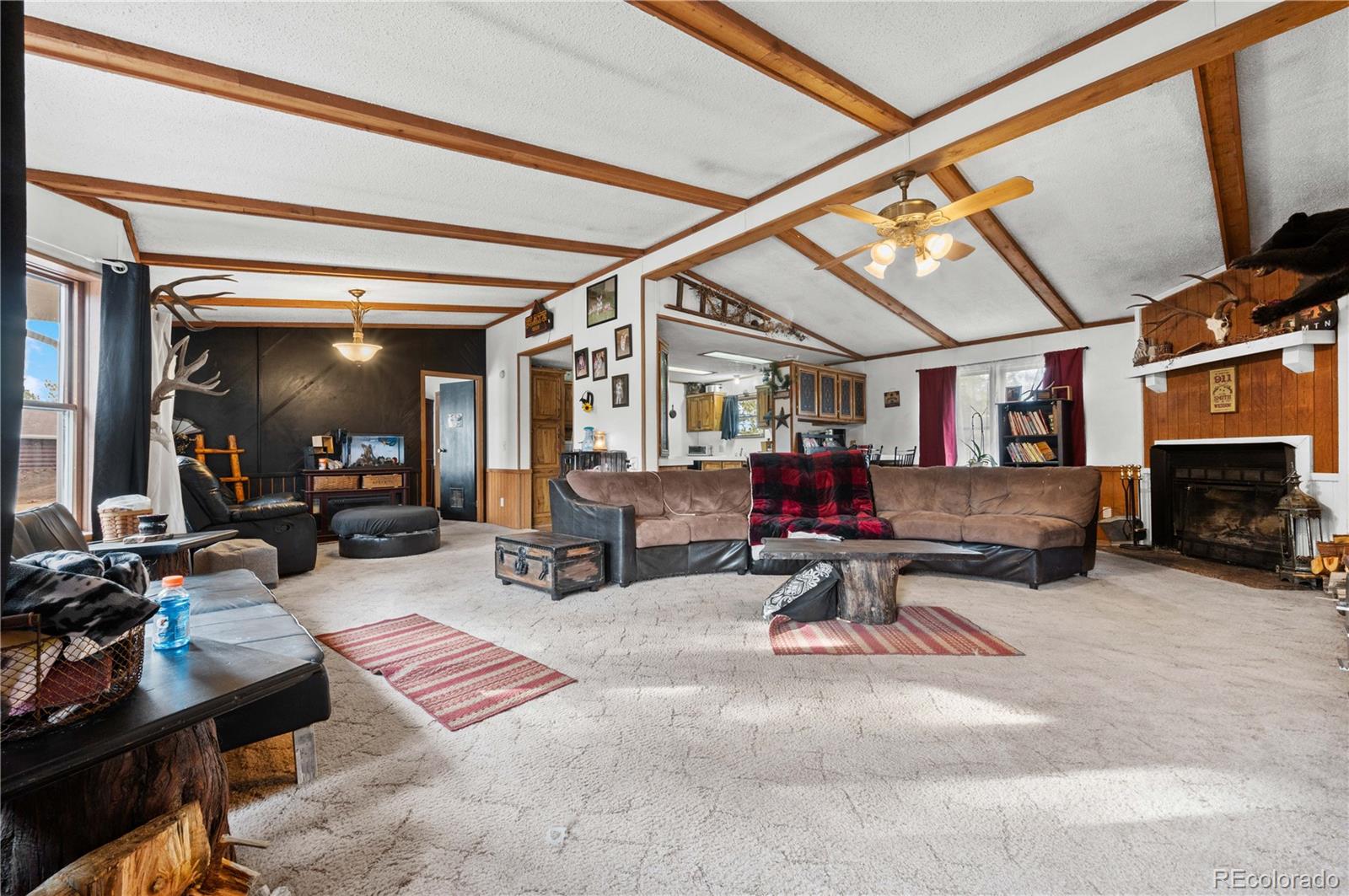 MLS Image #7 for 627  harmon drive,cotopaxi, Colorado