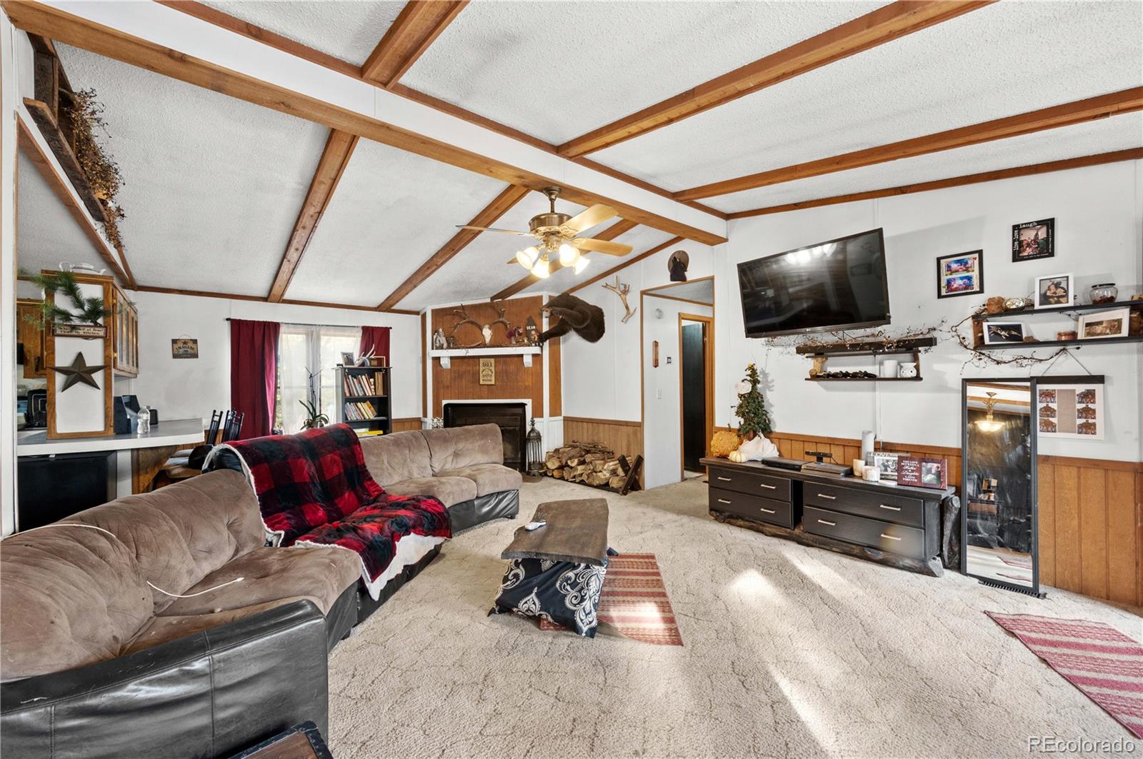 MLS Image #8 for 627  harmon drive,cotopaxi, Colorado