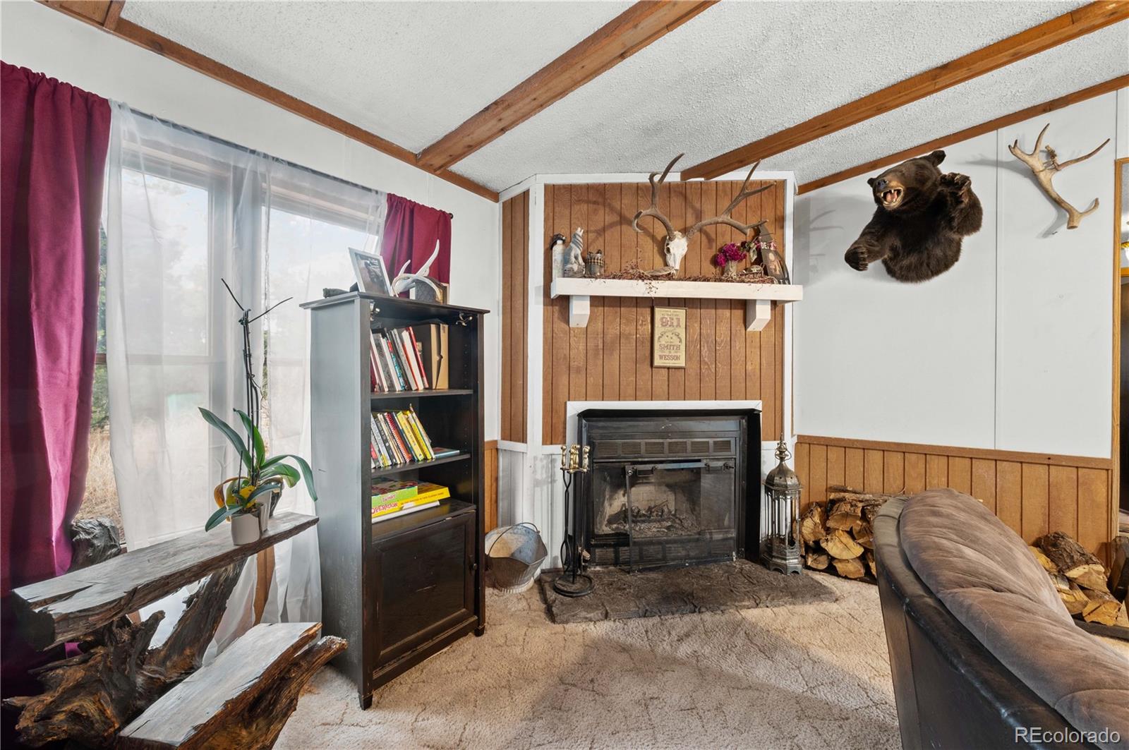 MLS Image #9 for 627  harmon drive,cotopaxi, Colorado