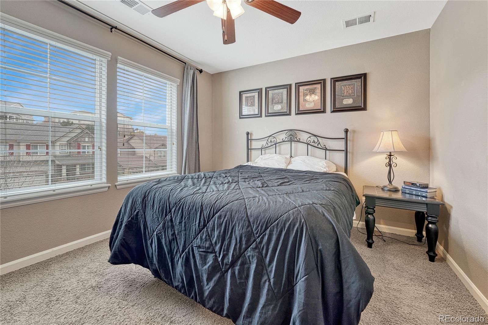 MLS Image #20 for 2612  mccracken lane,castle rock, Colorado