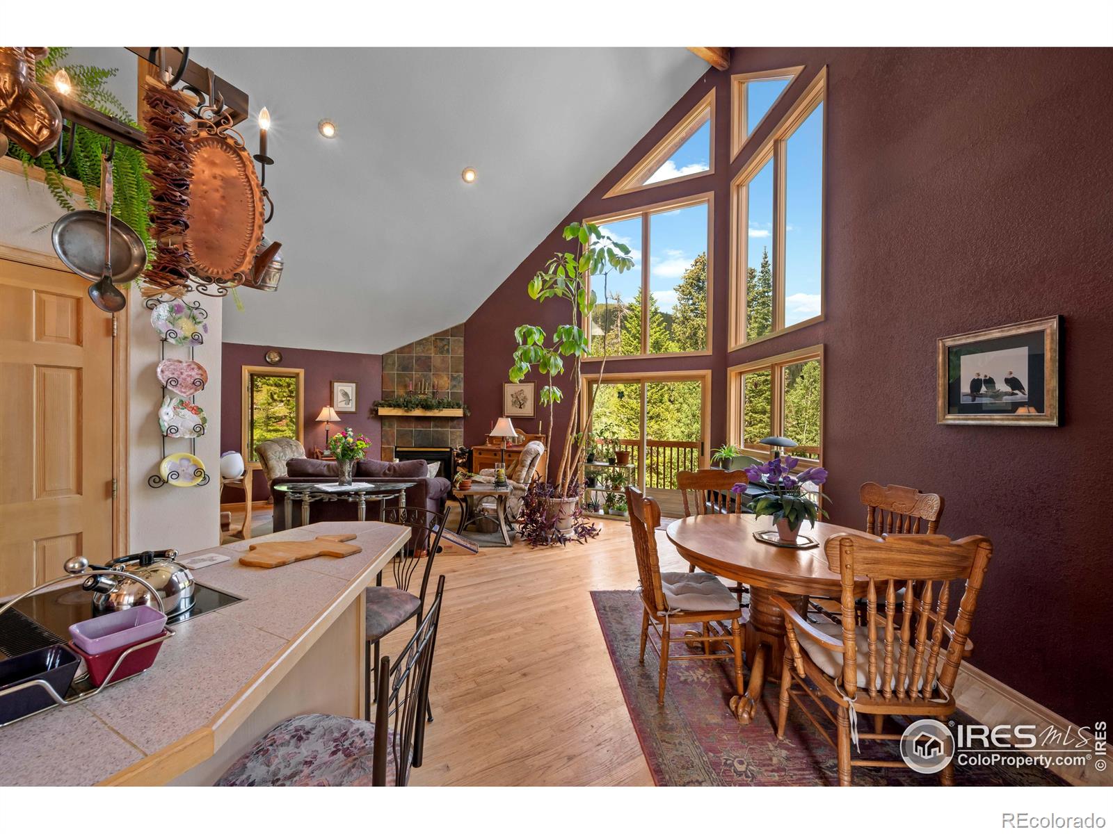 MLS Image #10 for 518  meadow mountain drive,allenspark, Colorado