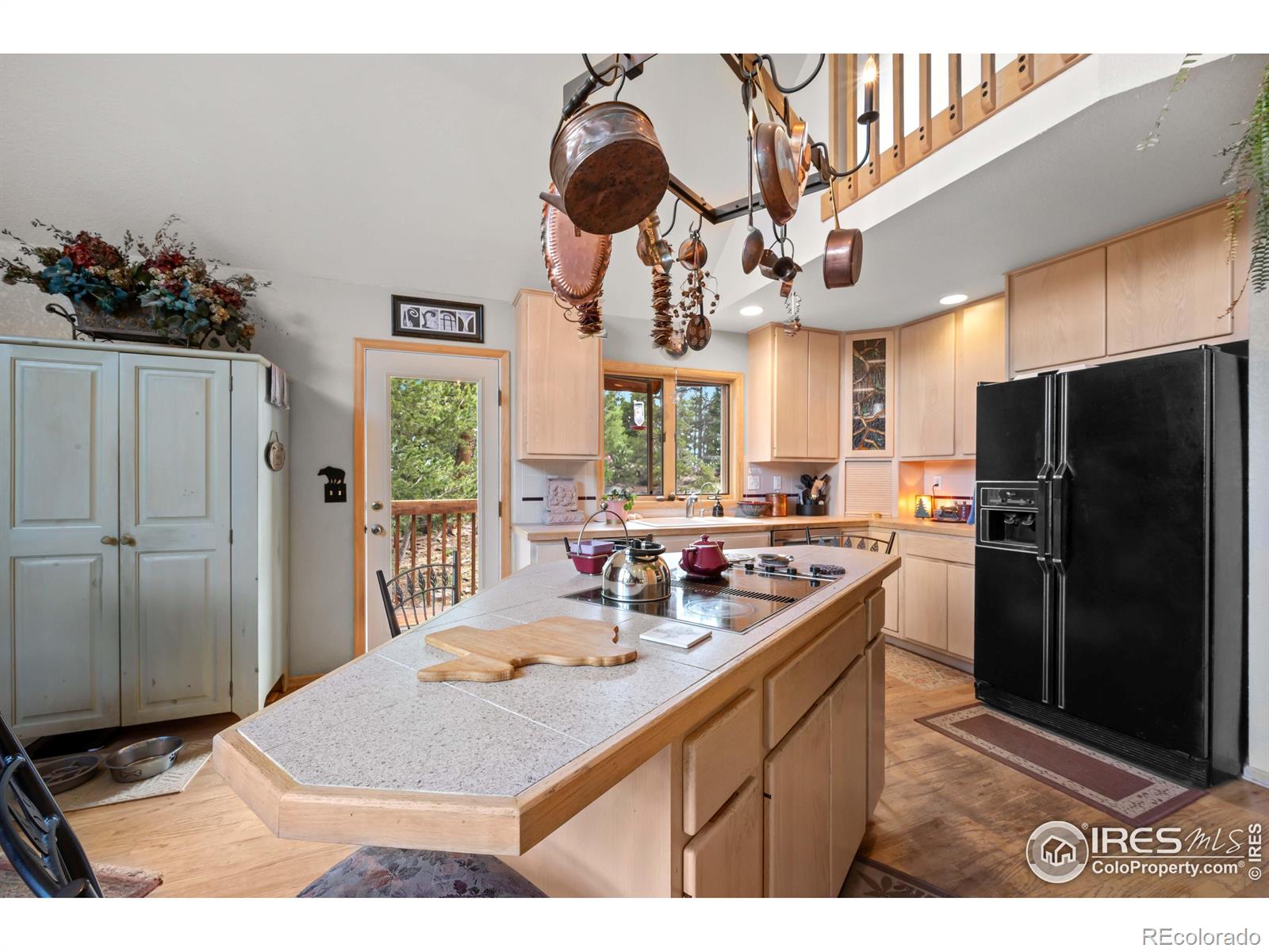 MLS Image #11 for 518  meadow mountain drive,allenspark, Colorado