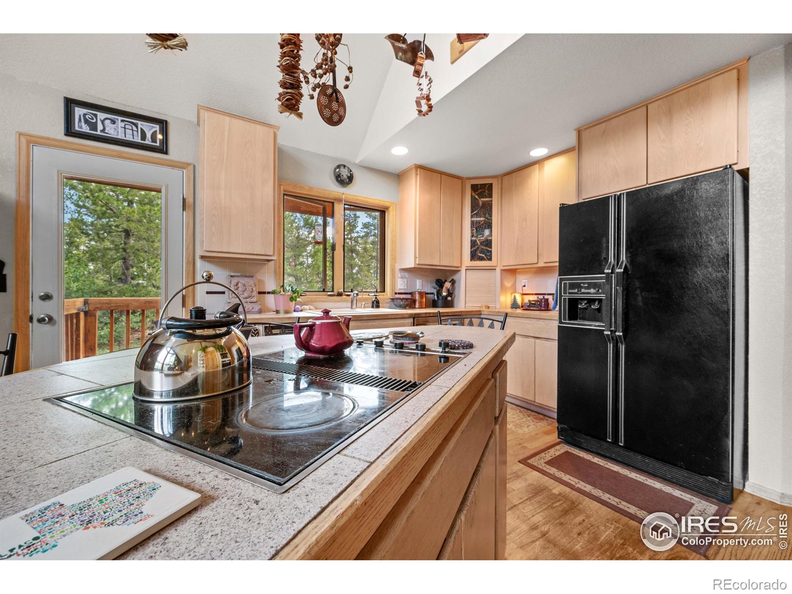 MLS Image #13 for 518  meadow mountain drive,allenspark, Colorado