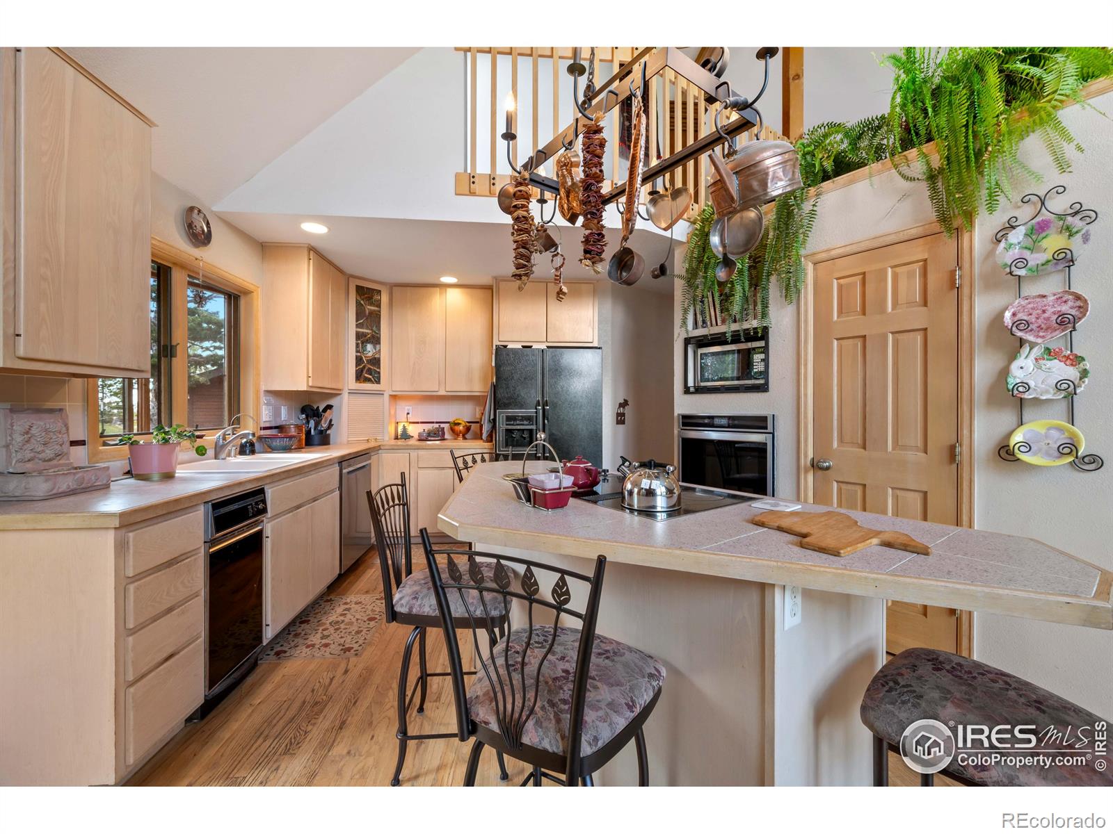 MLS Image #14 for 518  meadow mountain drive,allenspark, Colorado