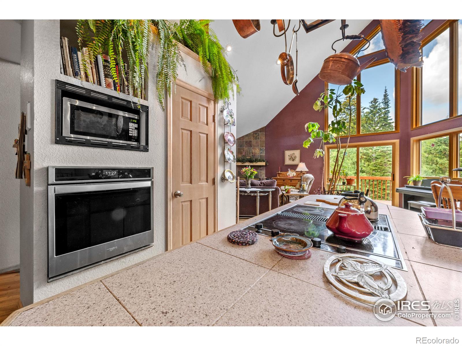 MLS Image #16 for 518  meadow mountain drive,allenspark, Colorado