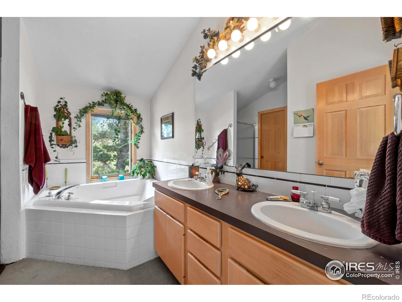 MLS Image #22 for 518  meadow mountain drive,allenspark, Colorado