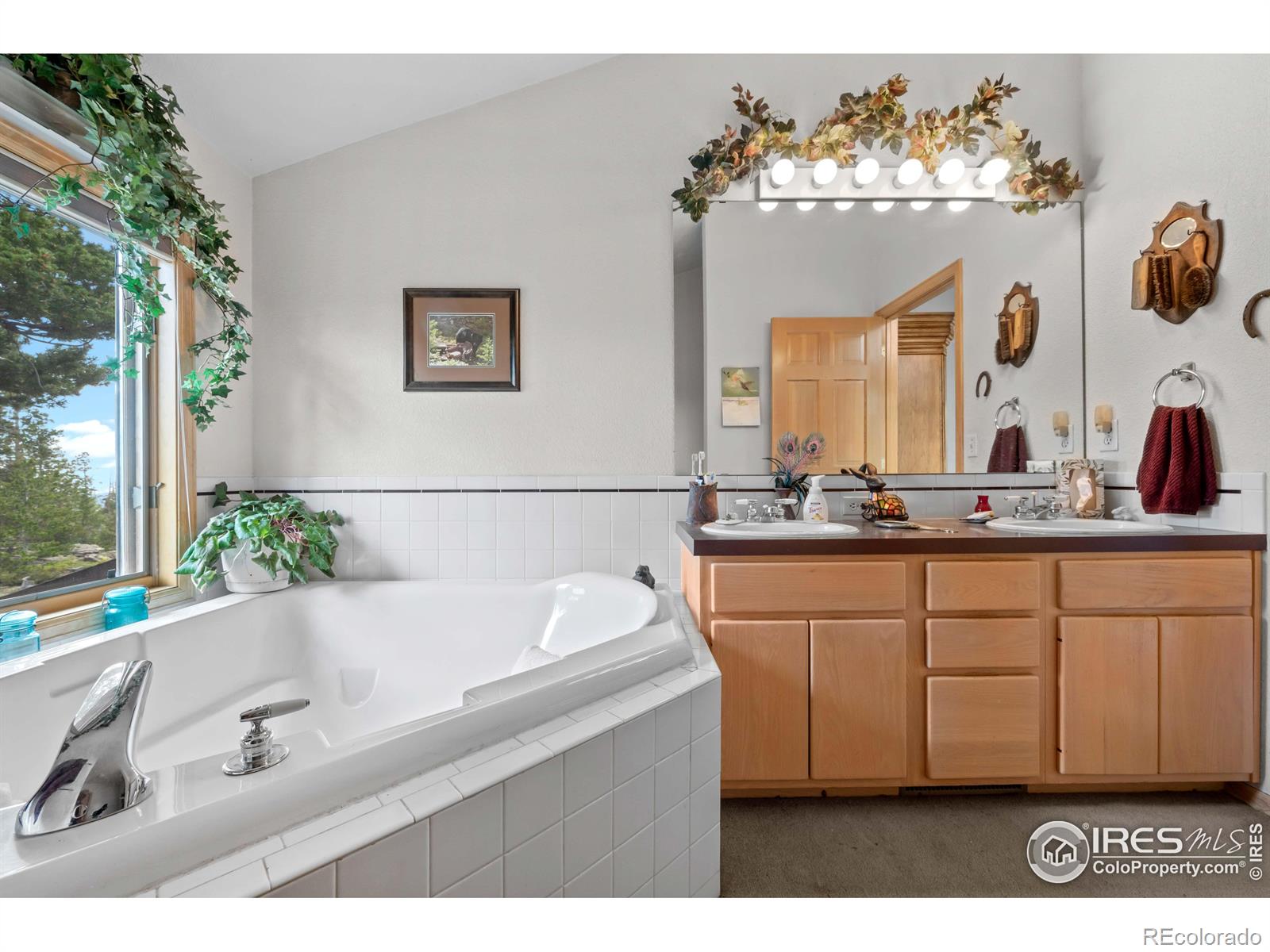 MLS Image #23 for 518  meadow mountain drive,allenspark, Colorado