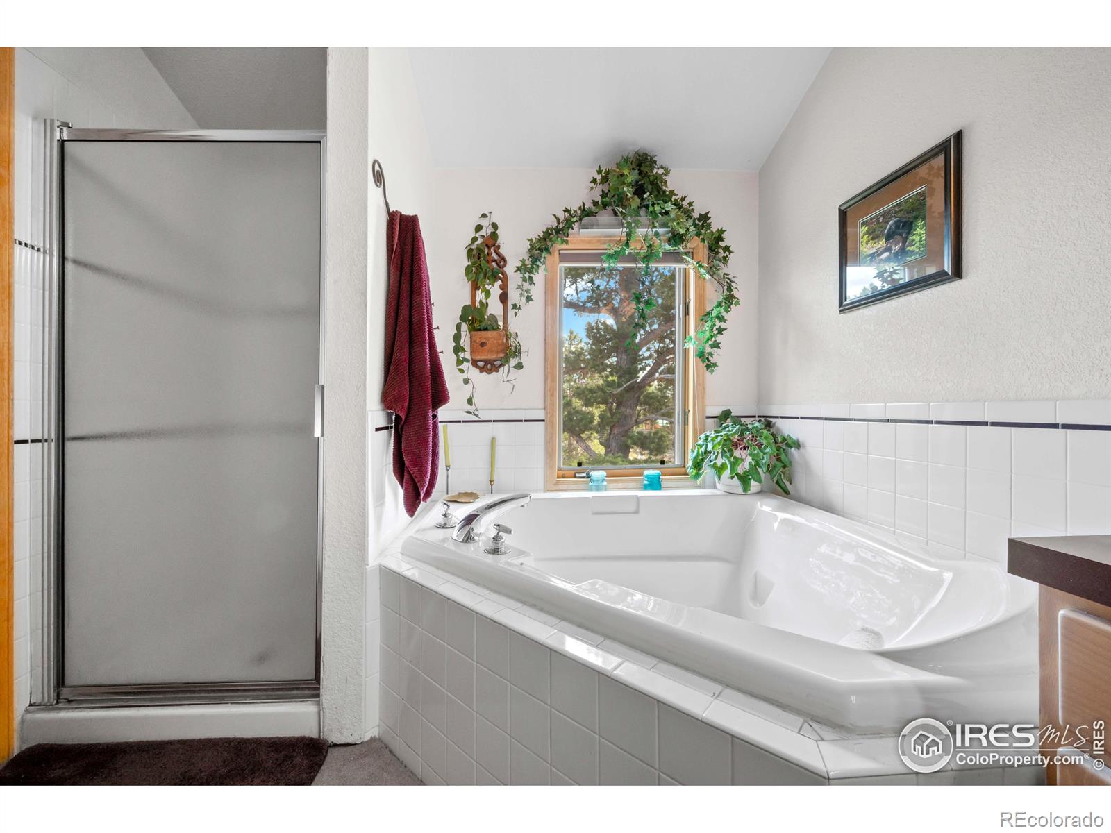 MLS Image #24 for 518  meadow mountain drive,allenspark, Colorado