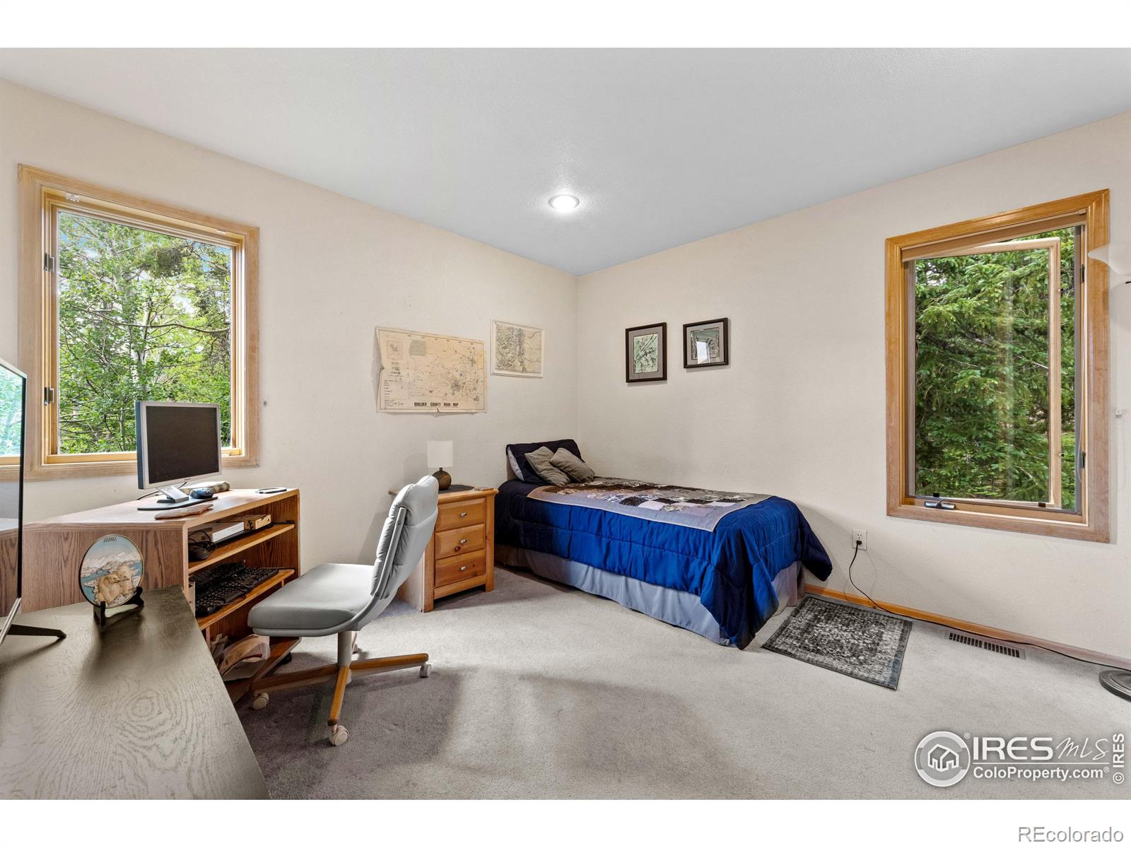 MLS Image #25 for 518  meadow mountain drive,allenspark, Colorado