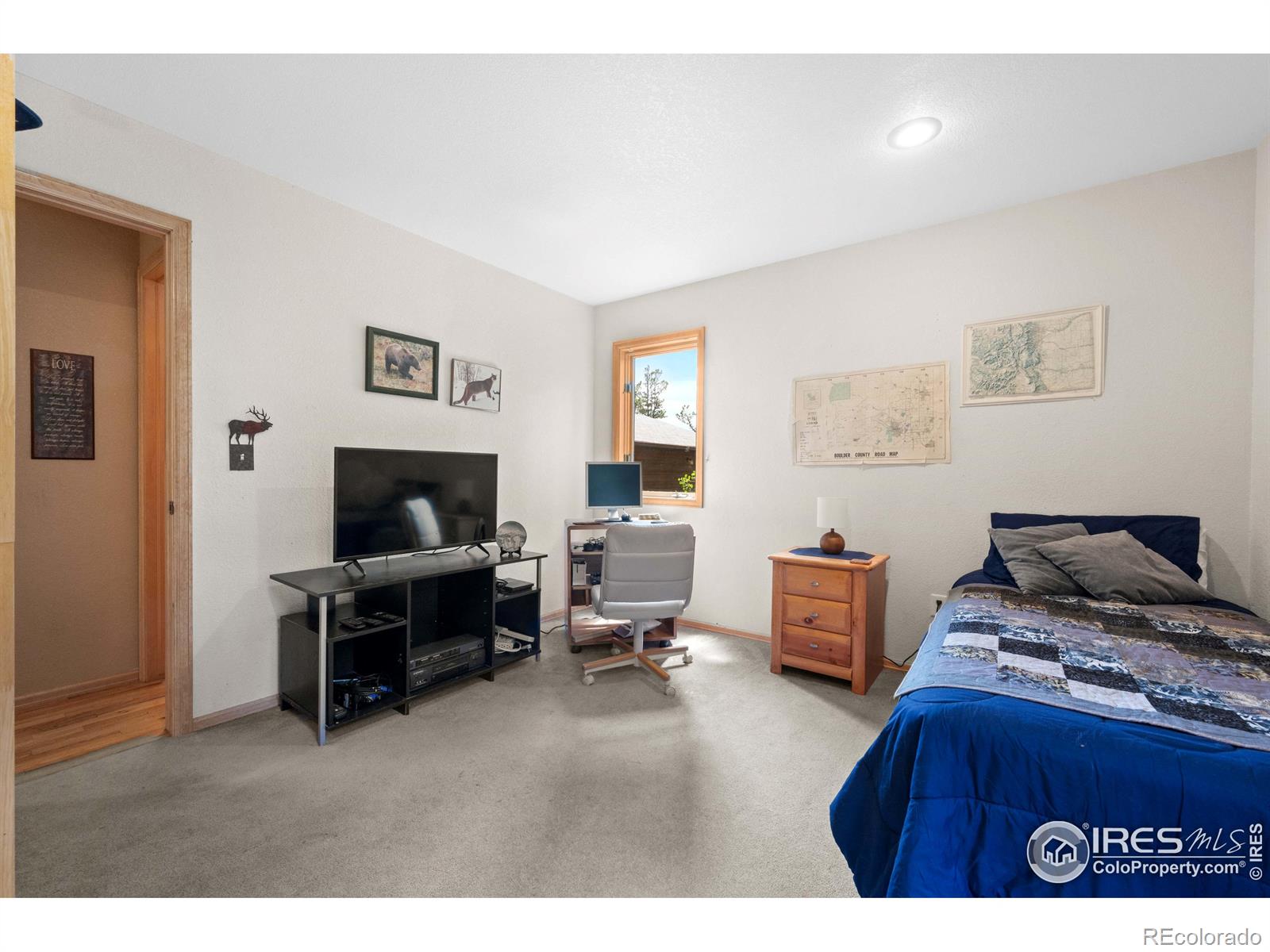 MLS Image #26 for 518  meadow mountain drive,allenspark, Colorado