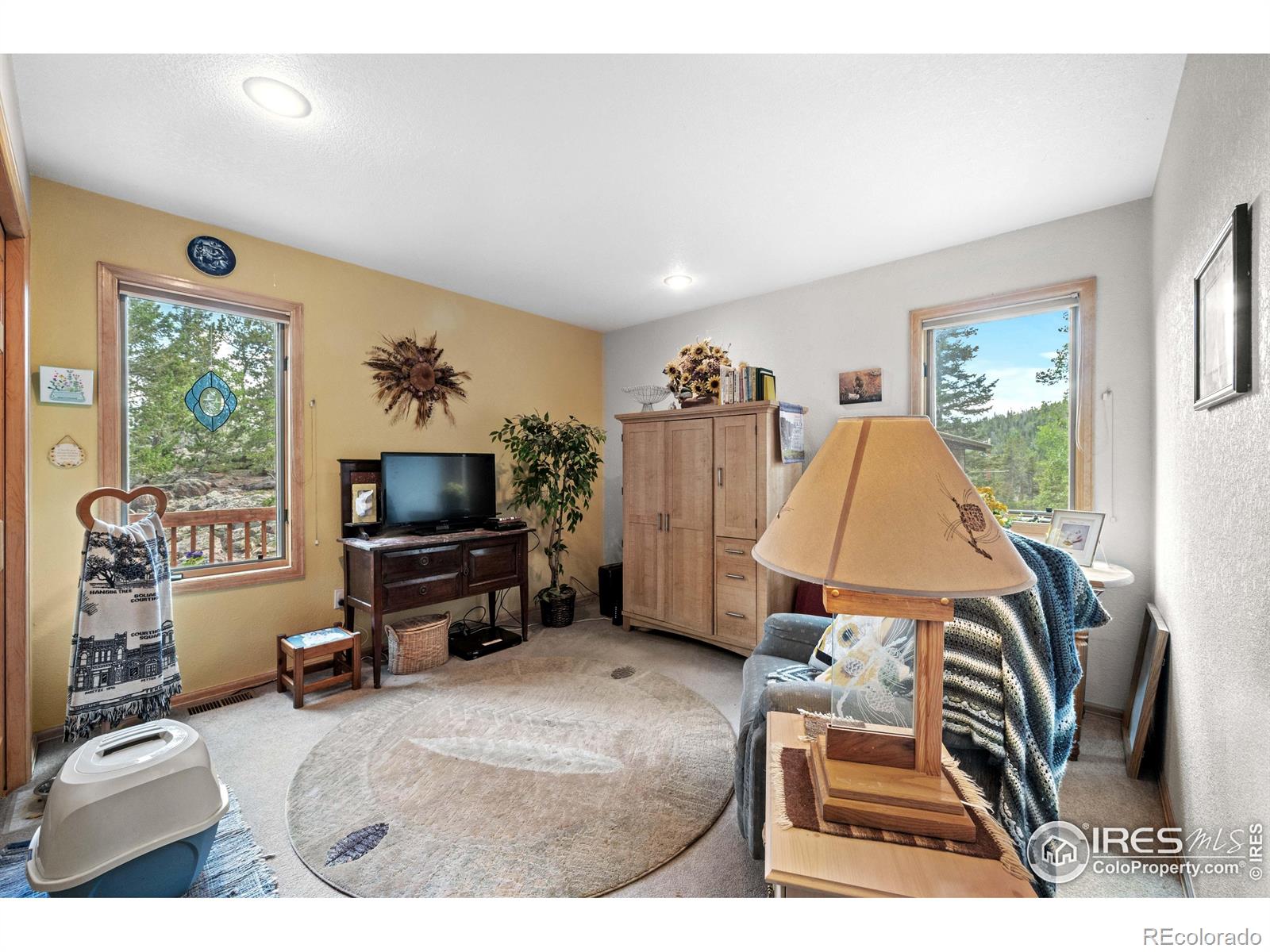 MLS Image #29 for 518  meadow mountain drive,allenspark, Colorado