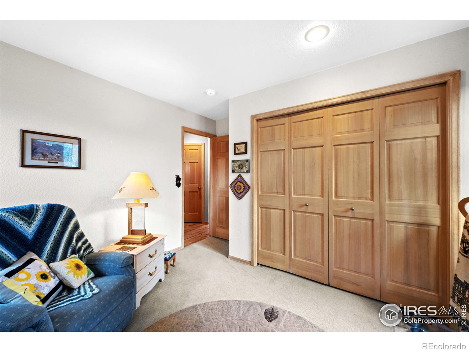 MLS Image #30 for 518  meadow mountain drive,allenspark, Colorado