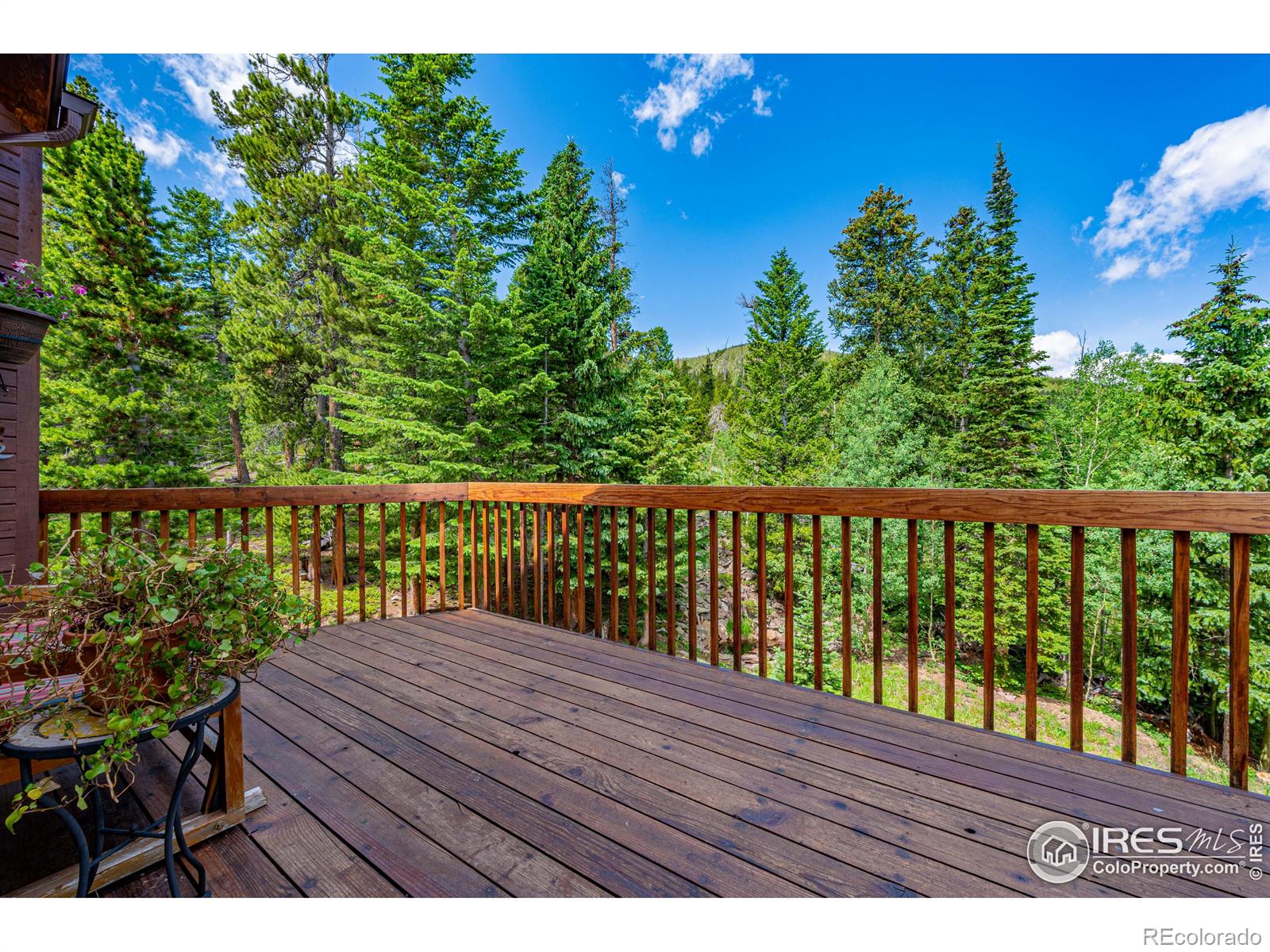 MLS Image #8 for 518  meadow mountain drive,allenspark, Colorado