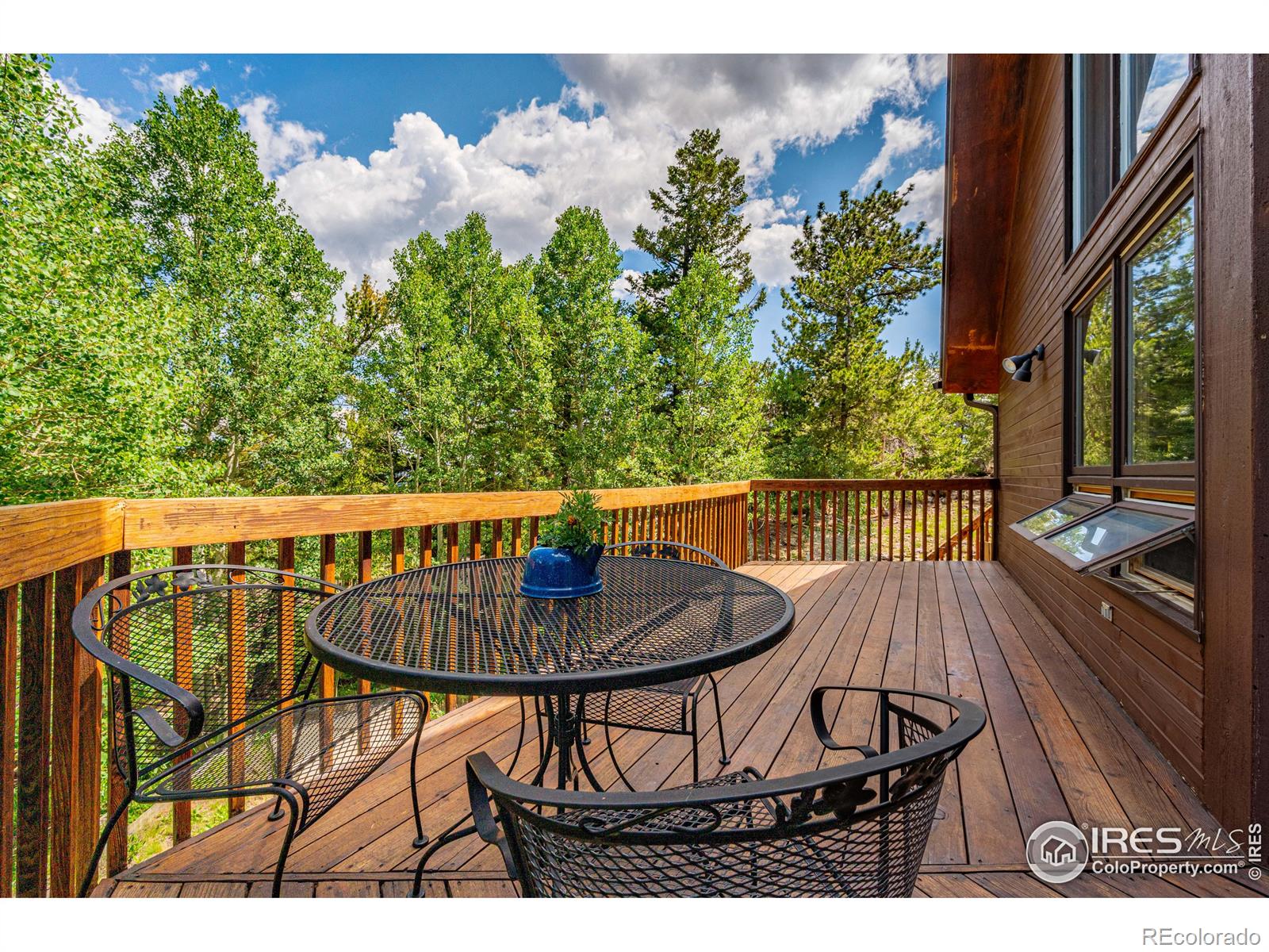 MLS Image #9 for 518  meadow mountain drive,allenspark, Colorado