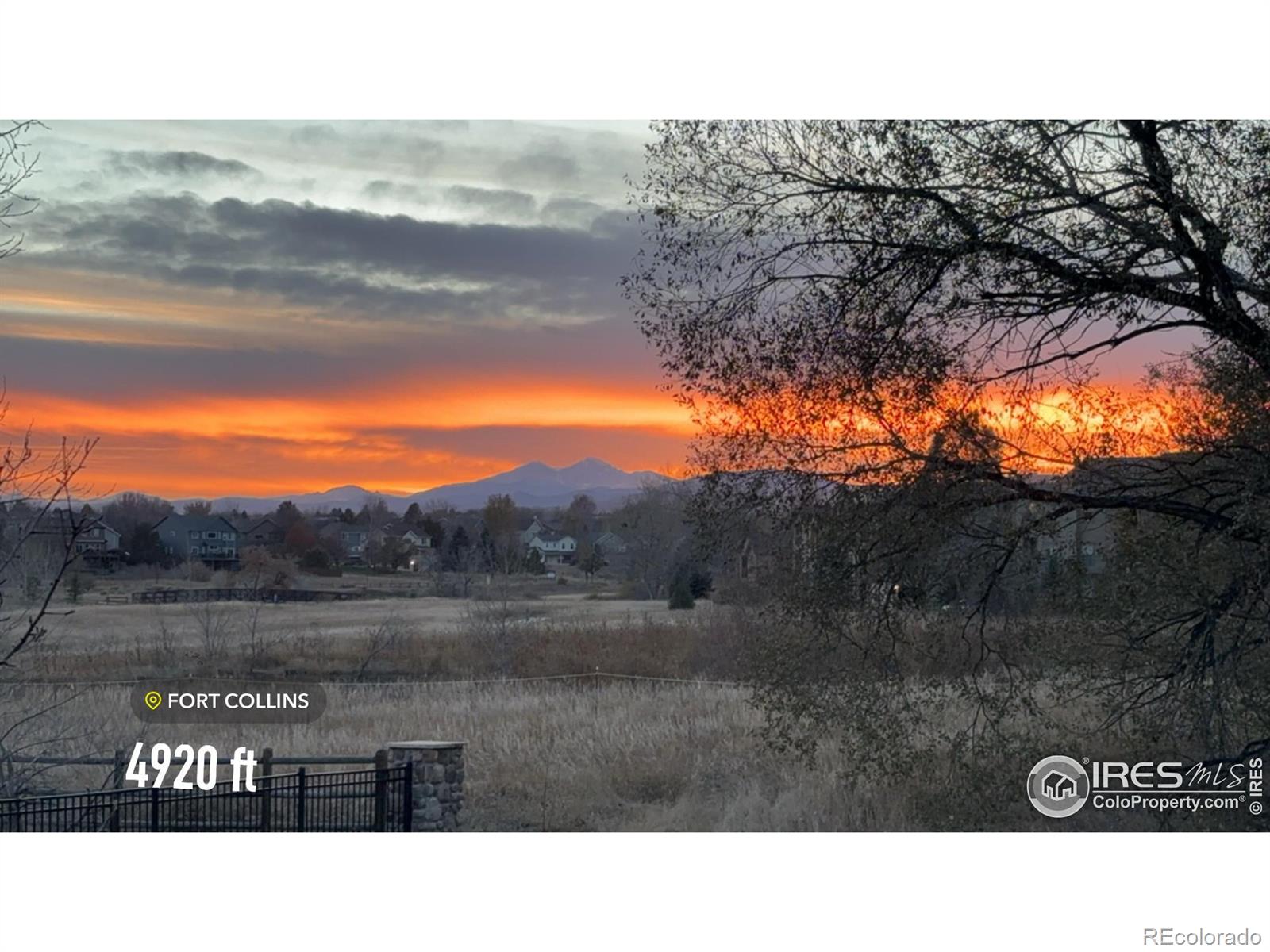 MLS Image #38 for 909  southridge greens boulevard,fort collins, Colorado